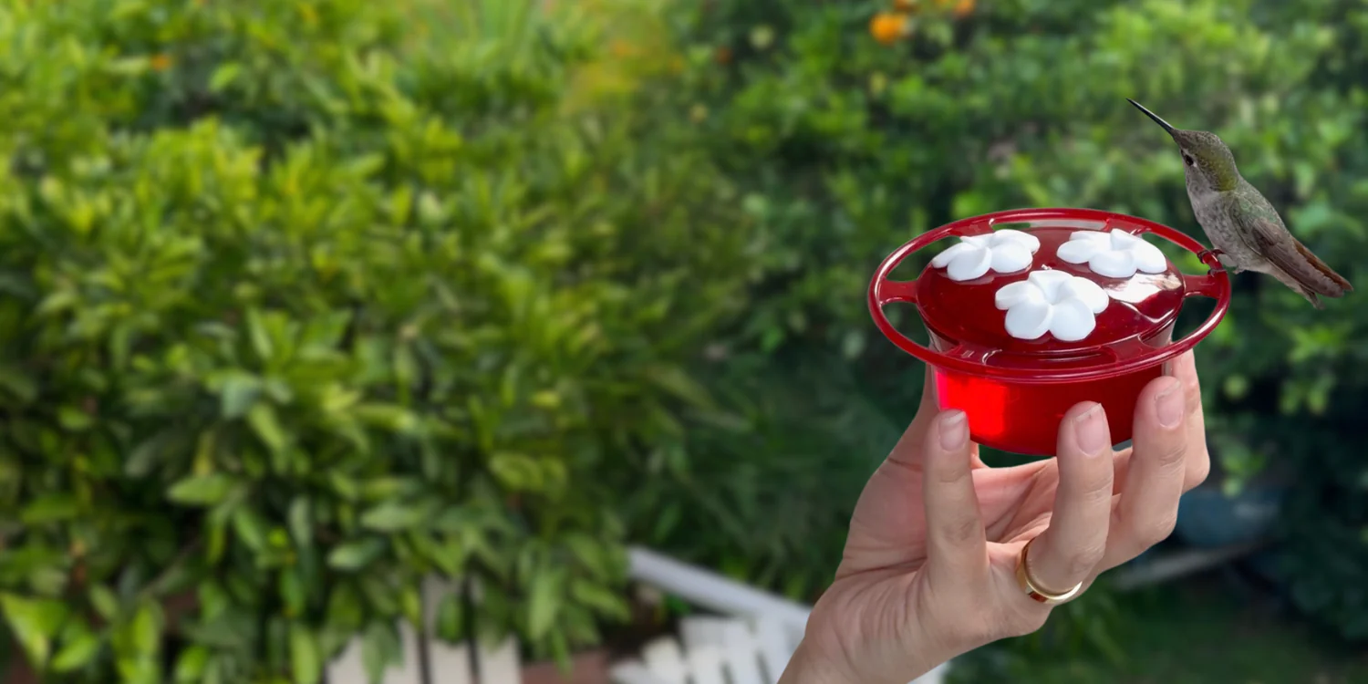 Style Inspired by the Wild