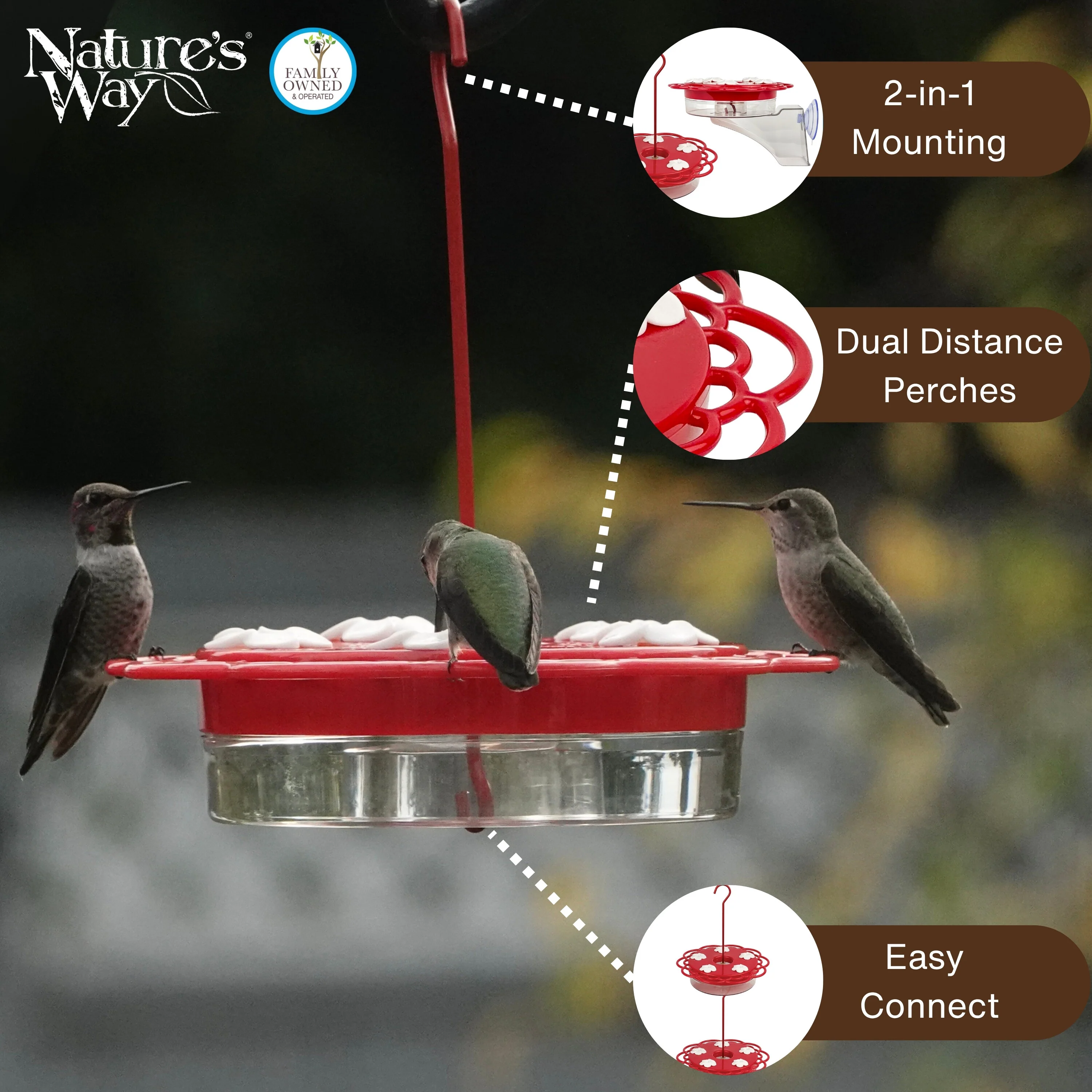 2-in-1 Red Plastic Hanging Dish or Window Mount Hummingbird Feeder - Image 4