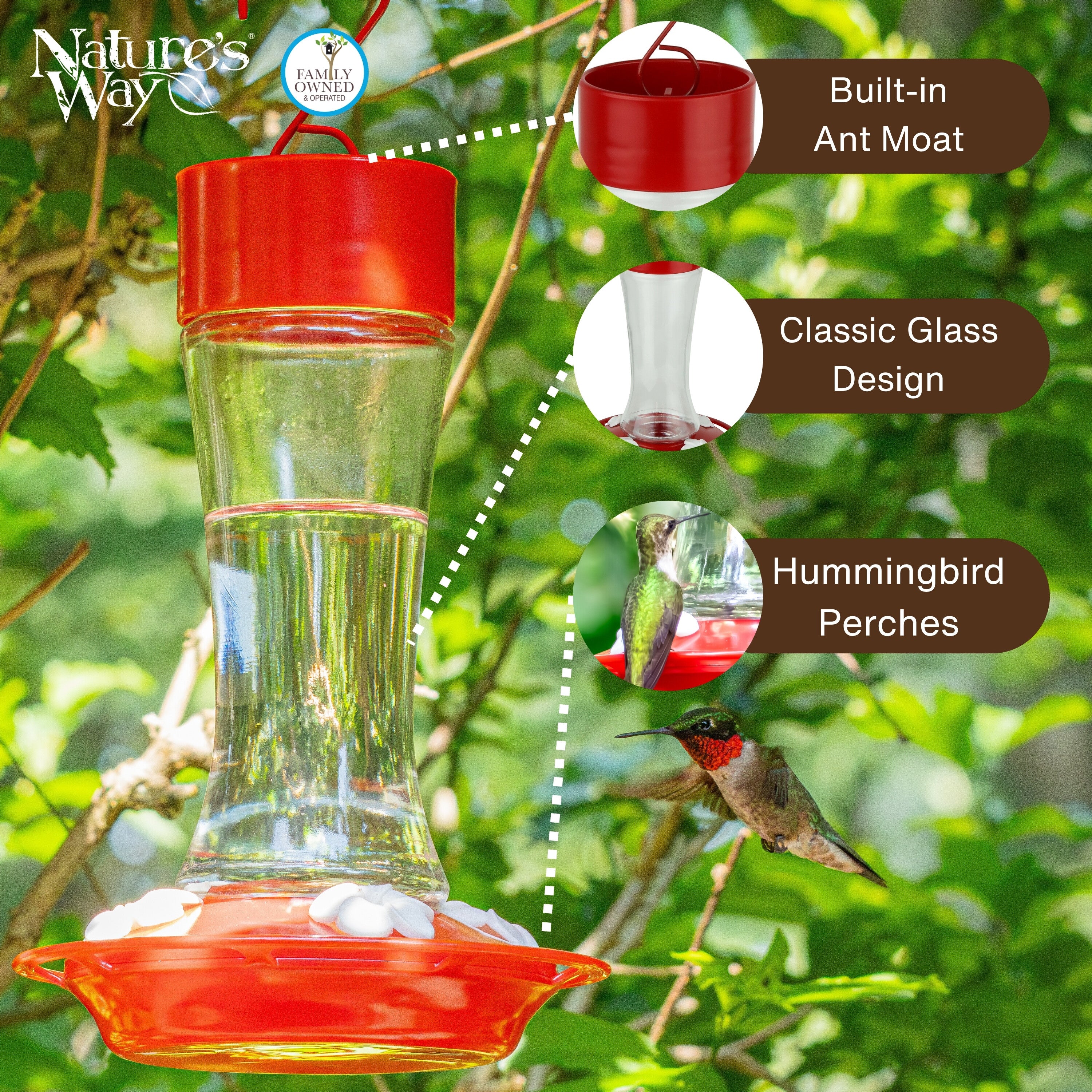 Scarlet Silhouette Glass Gravity Hummingbird Feeder - Image 3