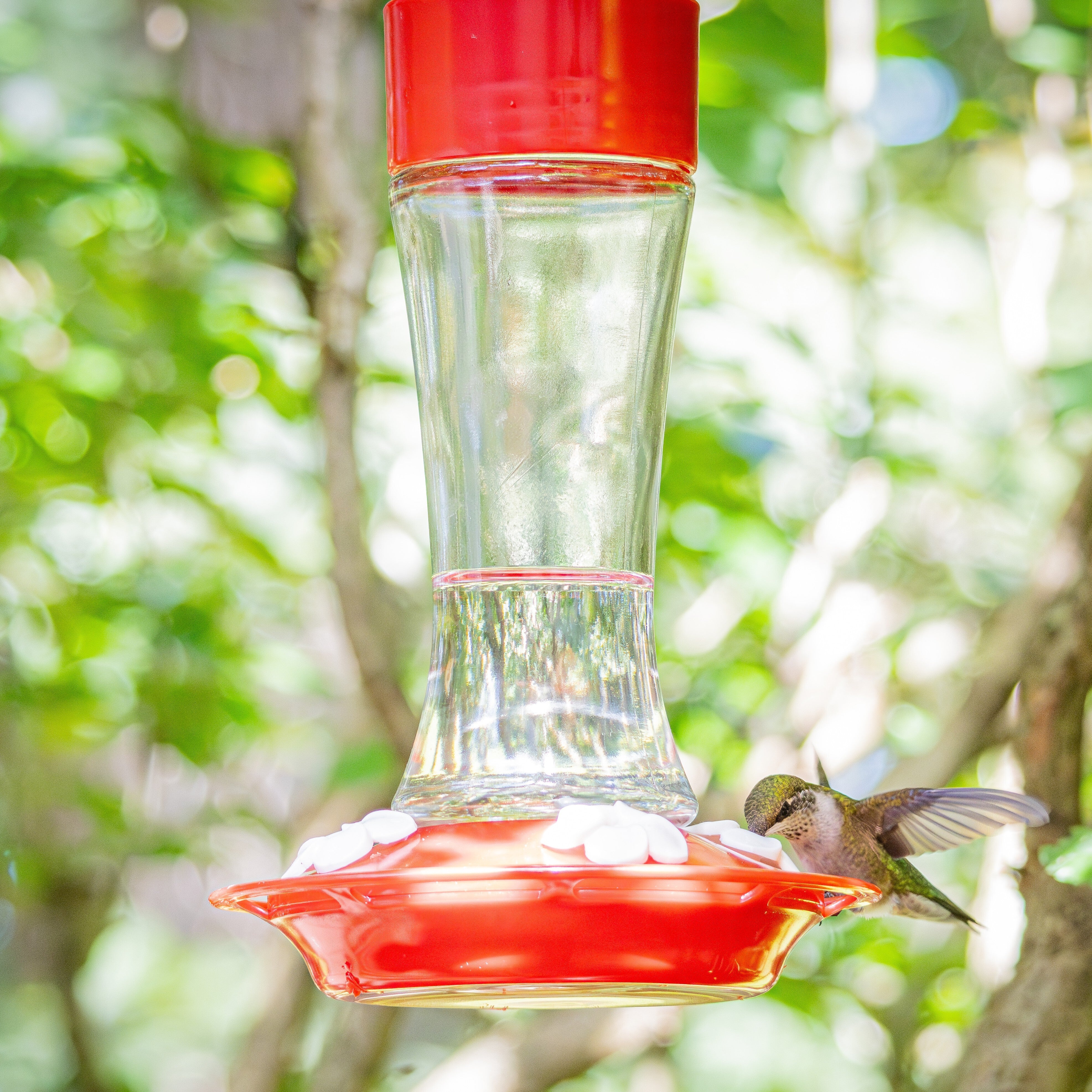 Scarlet Silhouette Glass Gravity Hummingbird Feeder - Image 7
