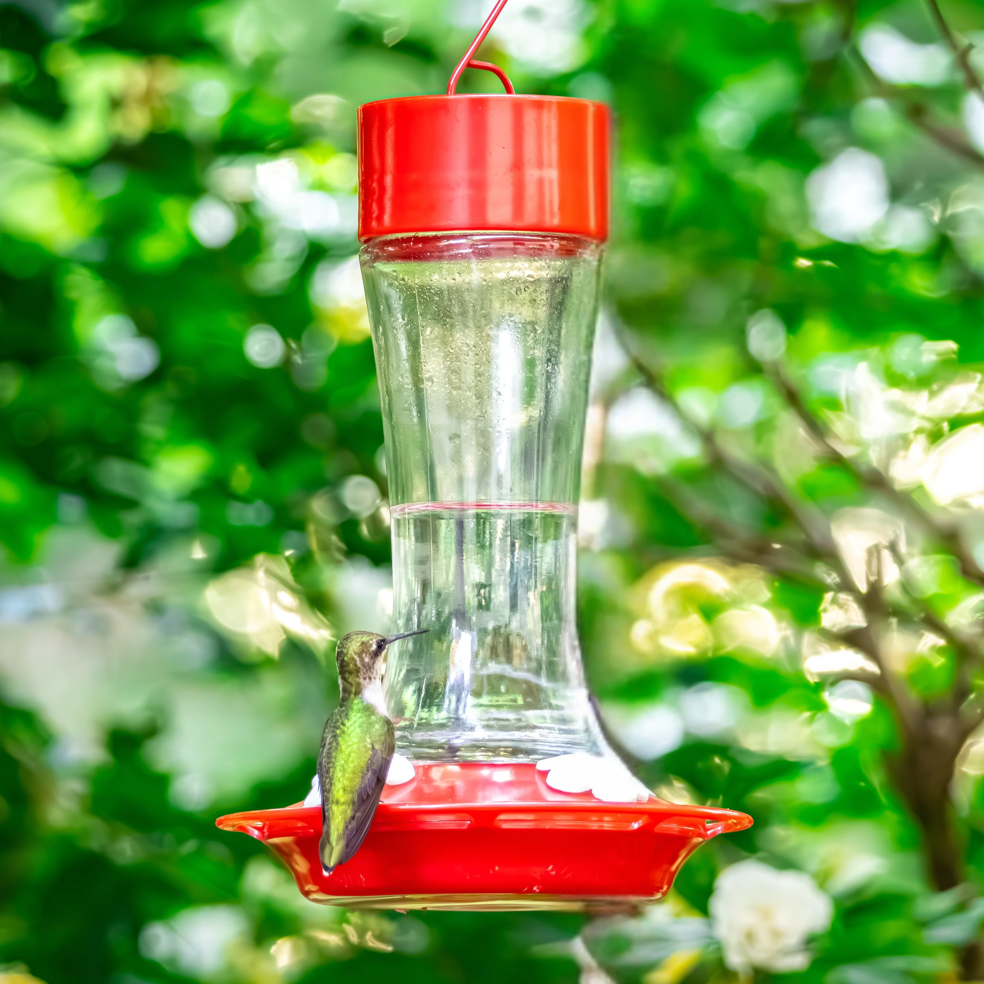 Scarlet Silhouette Glass Gravity Hummingbird Feeder - Image 8