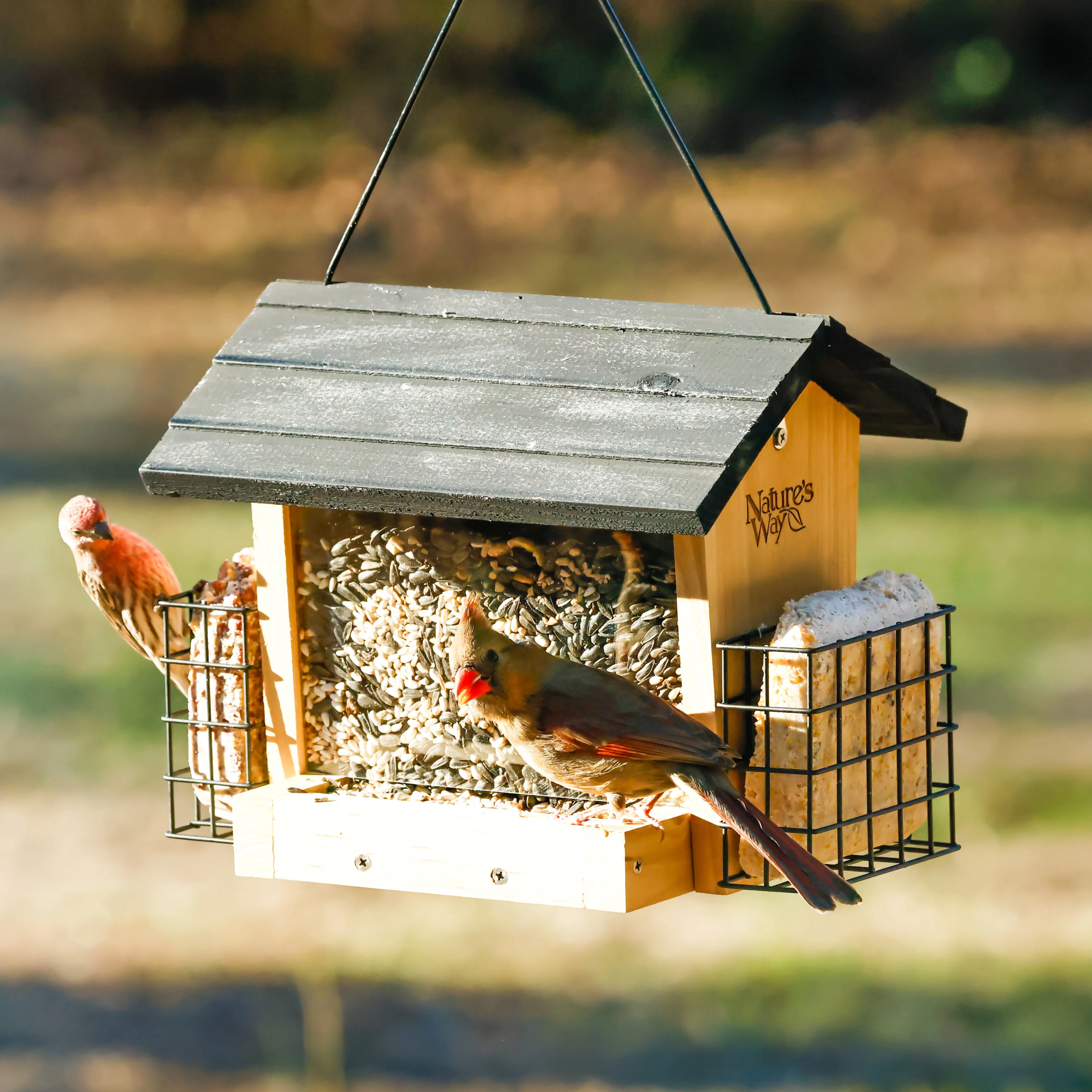 3 QT Hopper Feeder w/ 2 Suet Cages - Image 11