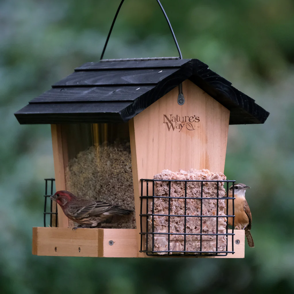 6 QT Hopper Feeder w/2 Suet Cages - Image 9
