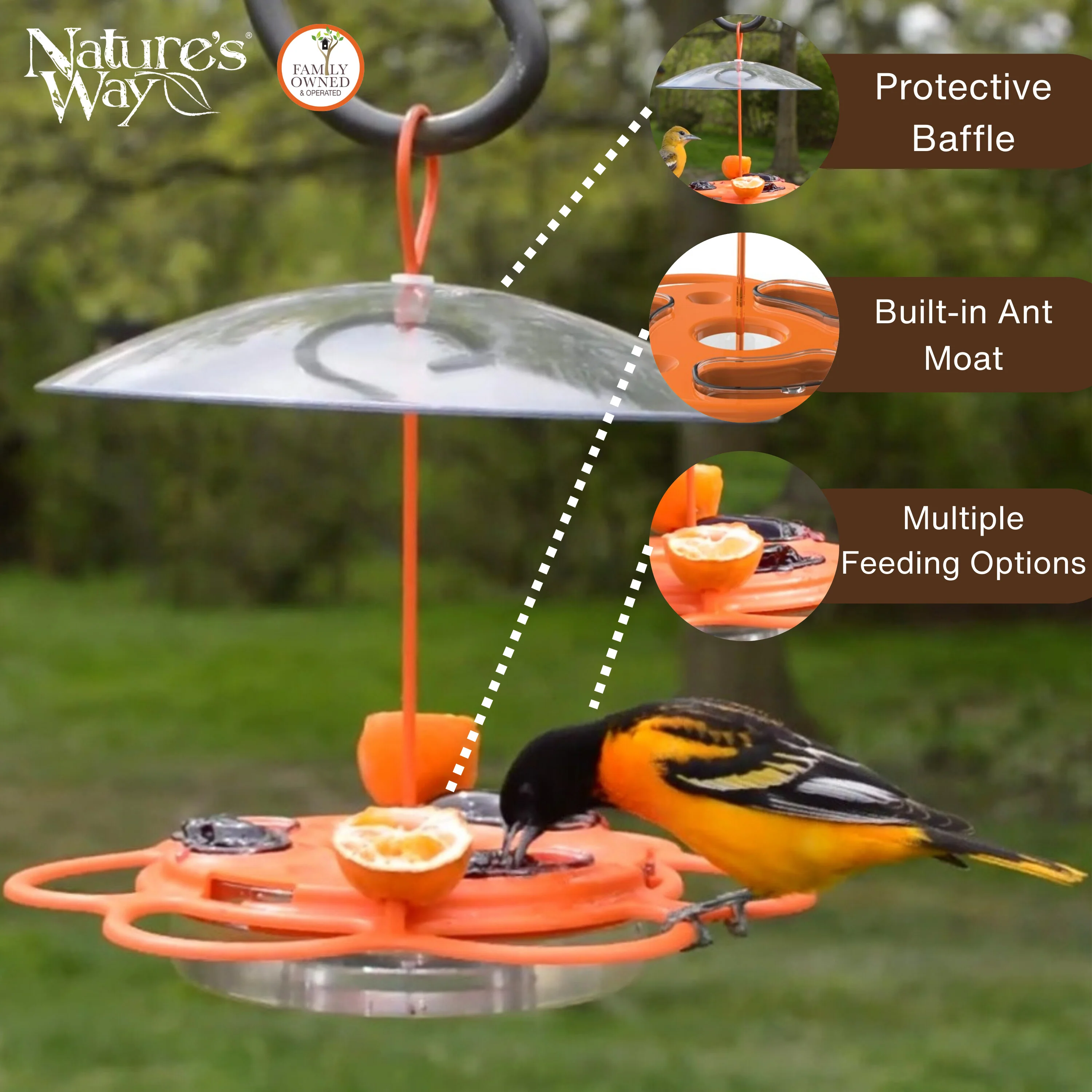 All-In-One Oriole Buffet with Protective Baffle - Image 3