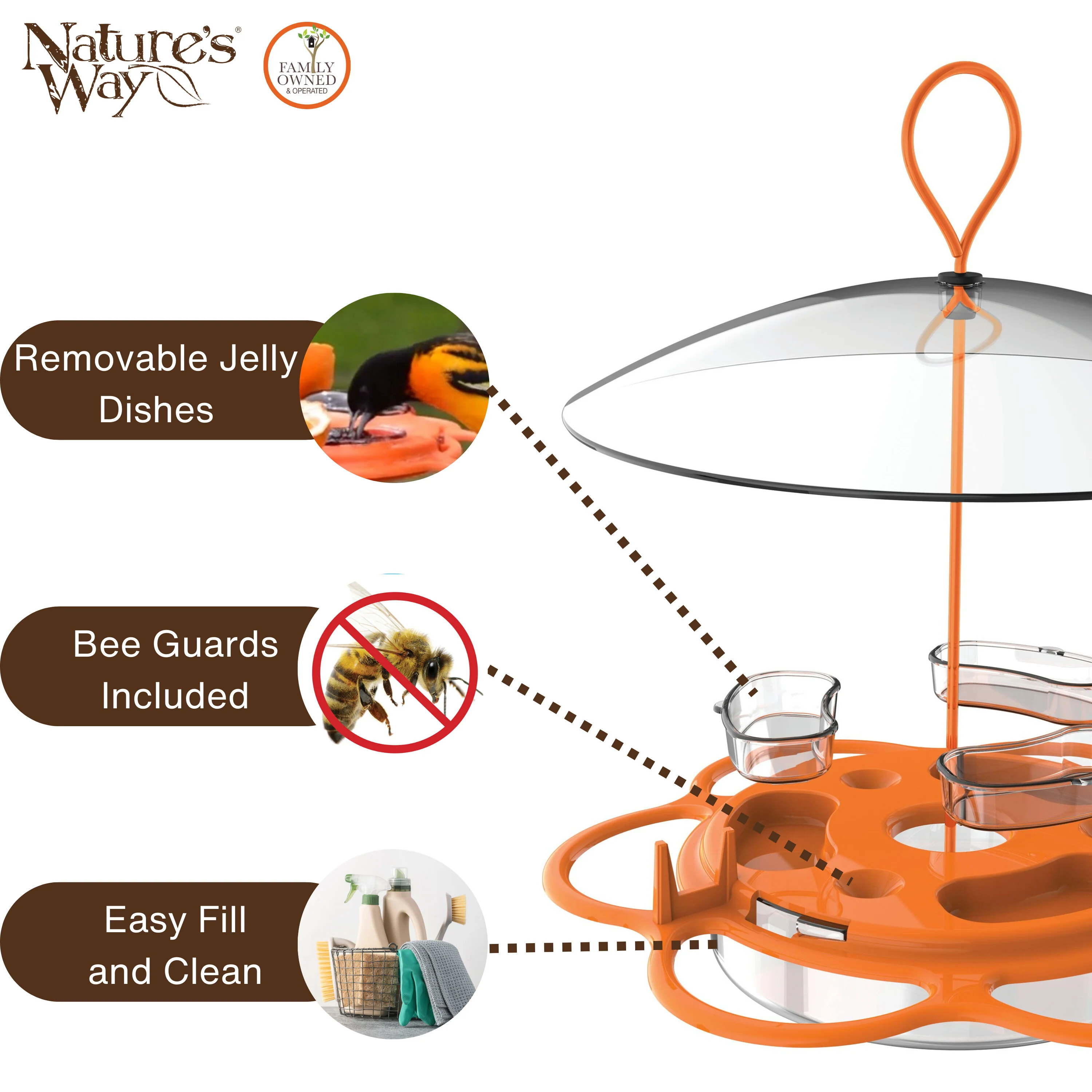 All-In-One Oriole Buffet with Protective Baffle - Image 4
