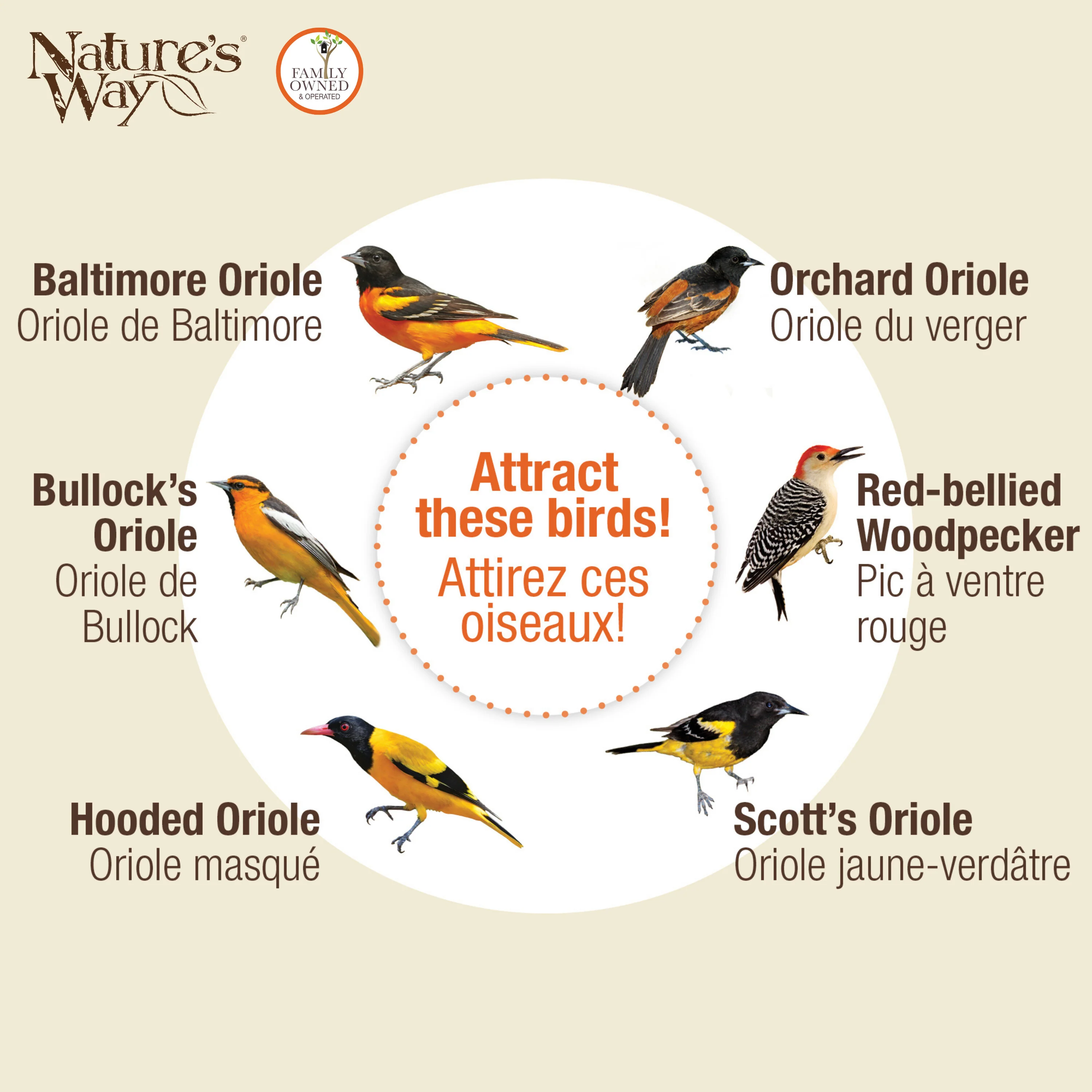 All-In-One Oriole Buffet with Protective Baffle - Image 5