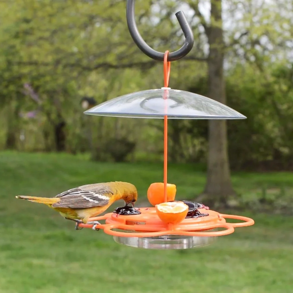 All-In-One Oriole Buffet with Protective Baffle - Image 8