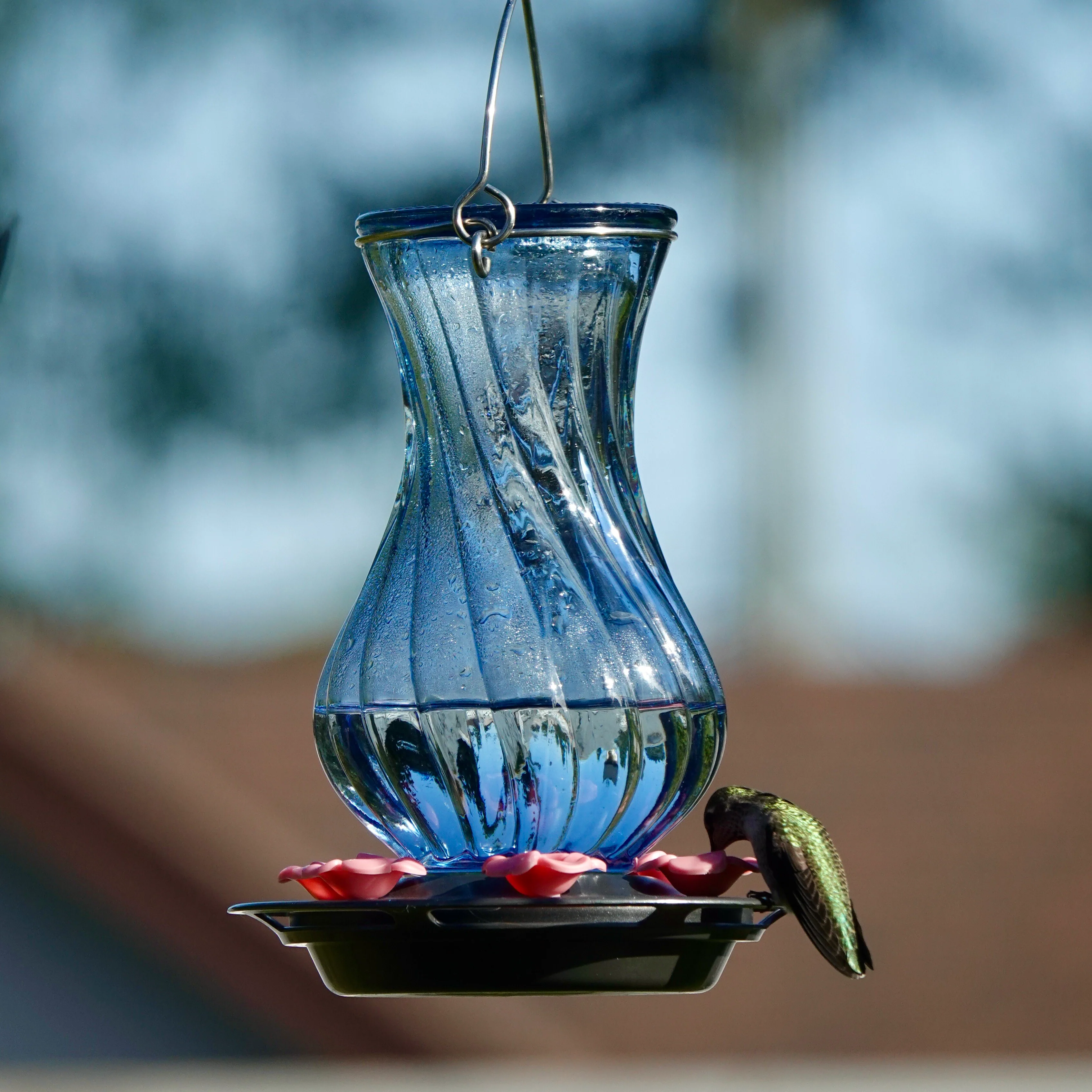 Perfect Pitcher Antique Glass Gravity Hummingbird Feeder - Image 8