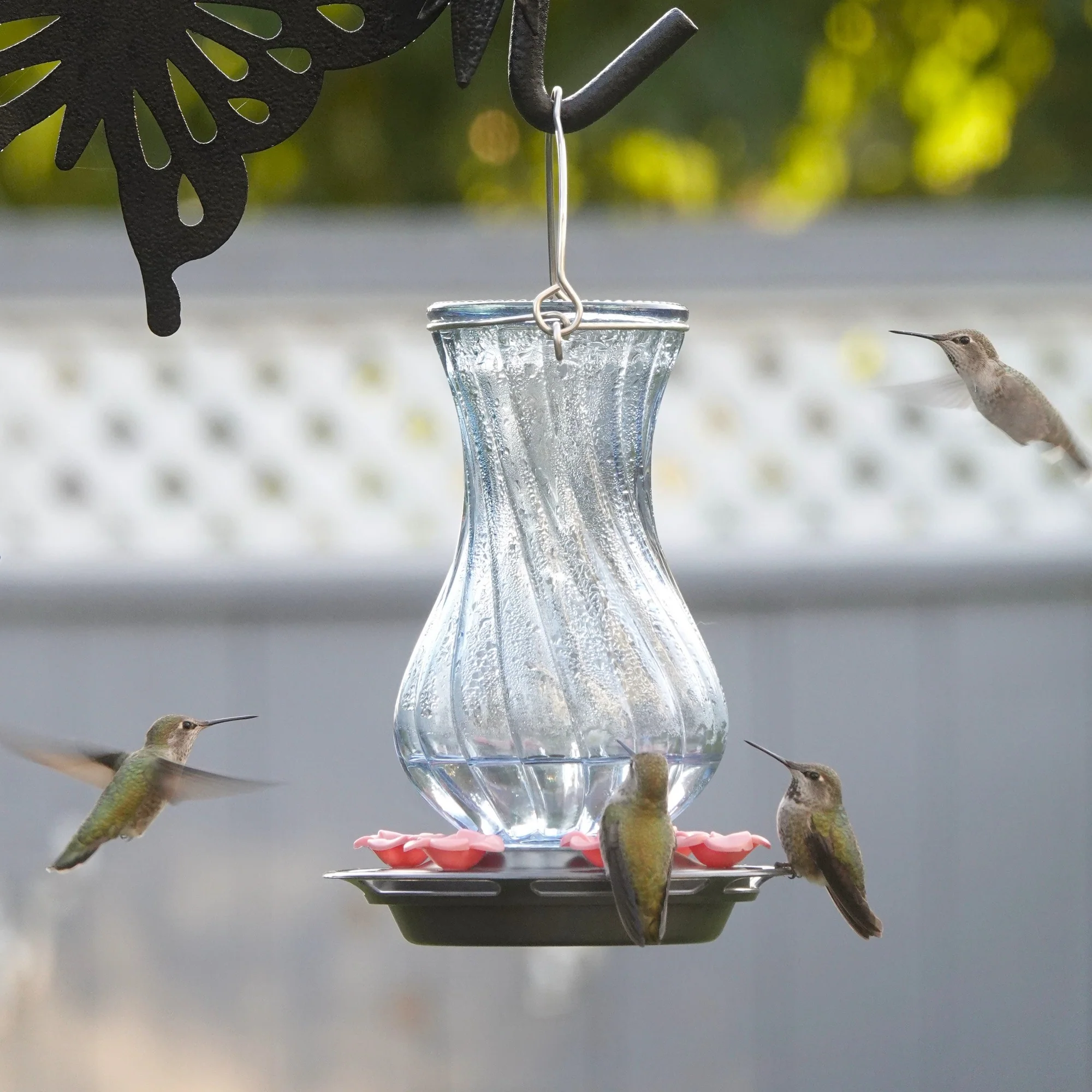 Perfect Pitcher Antique Glass Gravity Hummingbird Feeder - Image 9