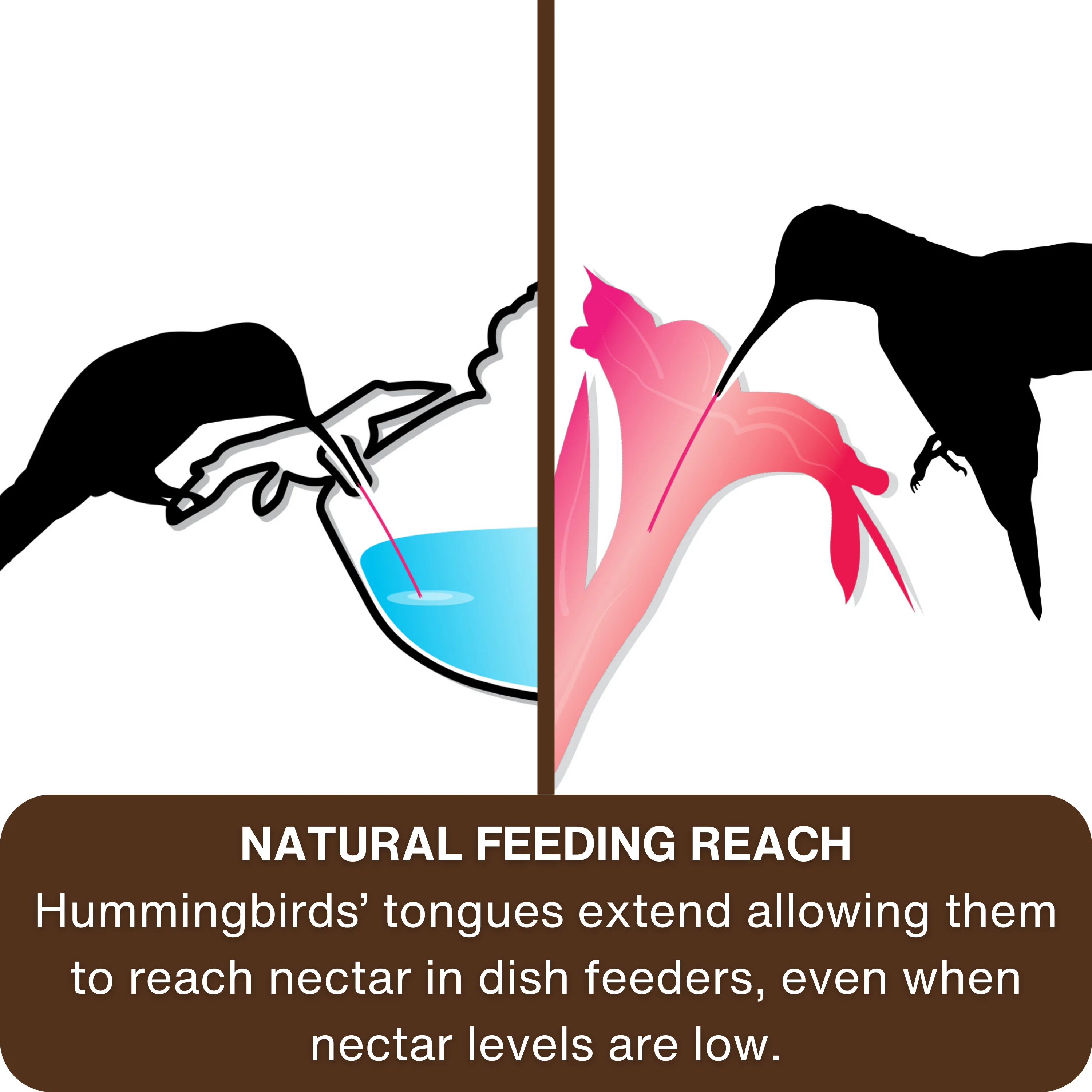 Plum Antique Glass Top-Fill Dish Hummingbird Feeder - Image 5