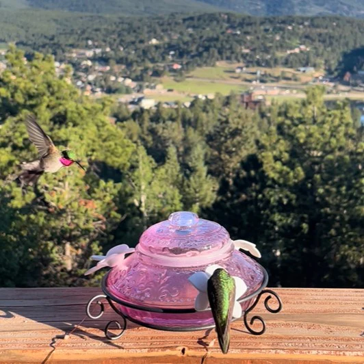 Plum Antique Glass Top-Fill Dish Hummingbird Feeder - Image 8