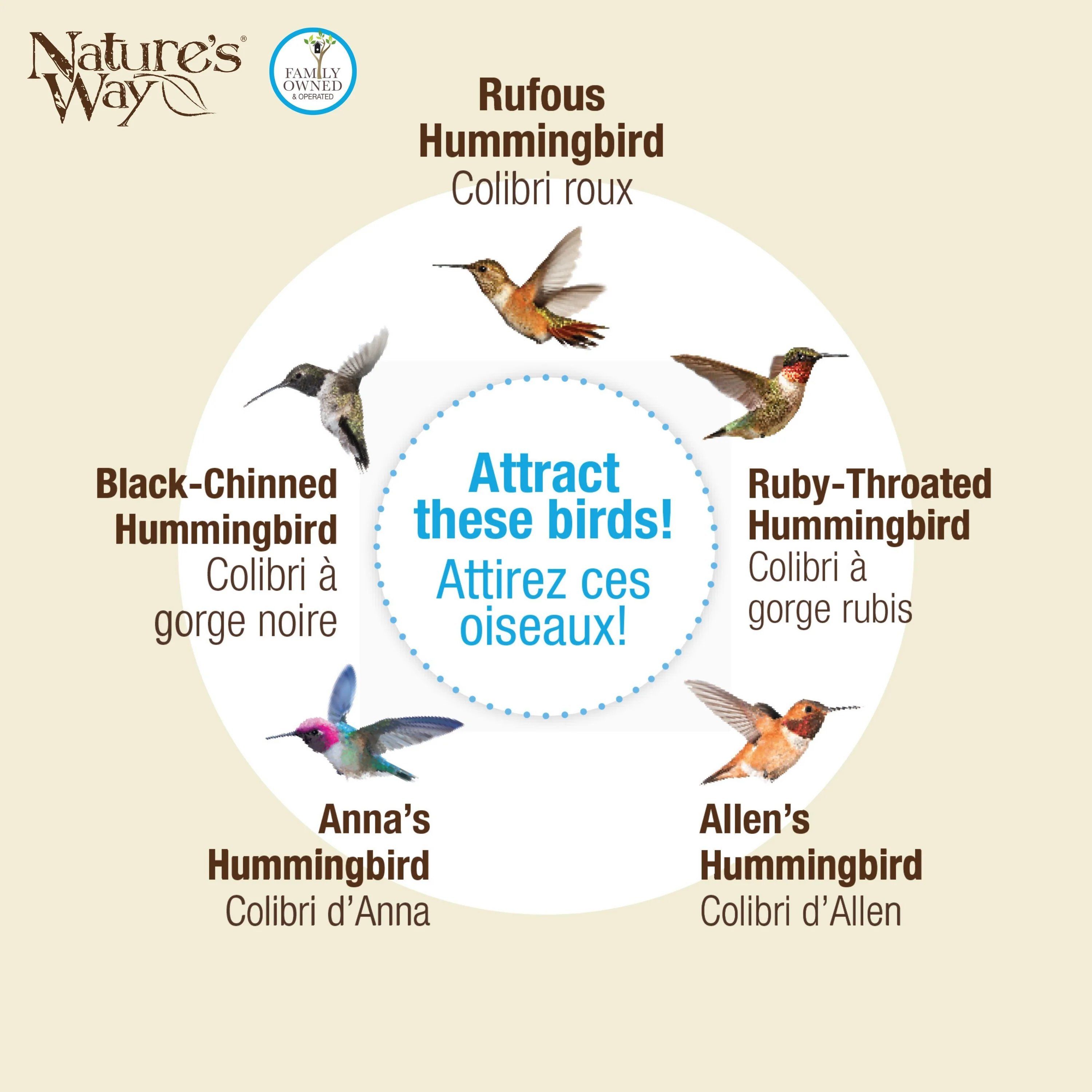 Spring Rain Artisan Handblown Glass Gravity Hummingbird Feeder - Image 5