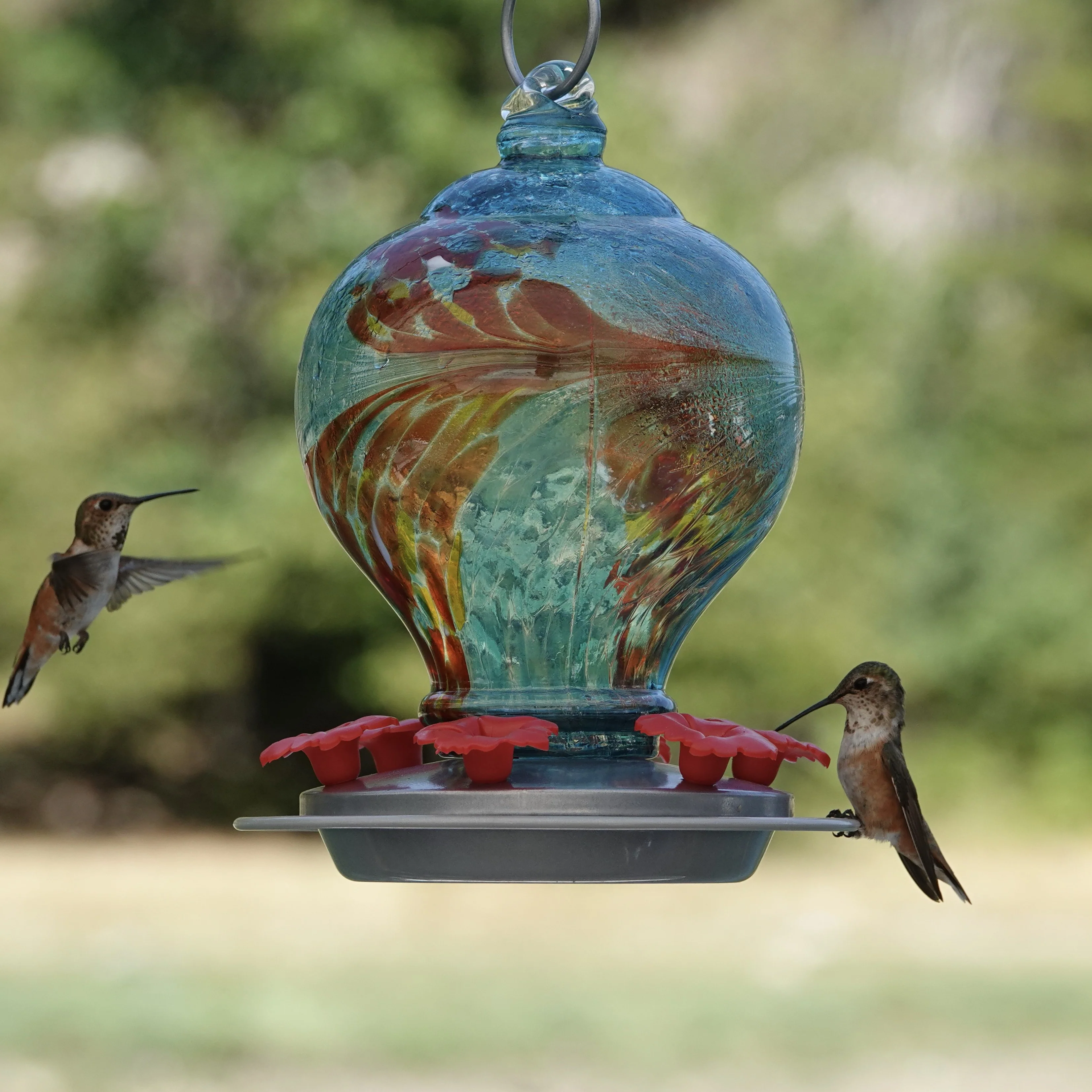 Sunny Day Artisan Handblown Glass Gravity Hummingbird Feeder - Image 11