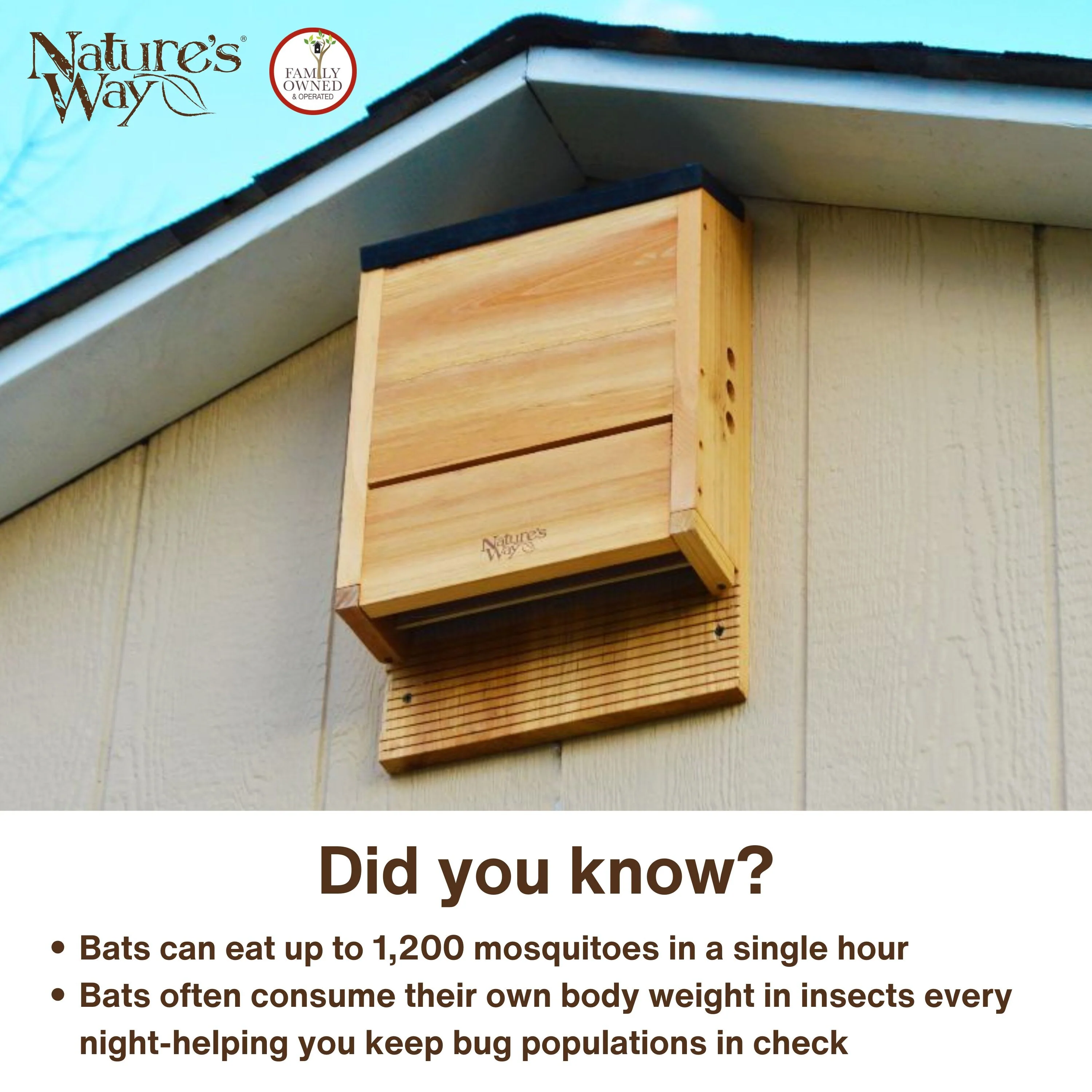 Cedar Three Chamber Bat House - Image 6