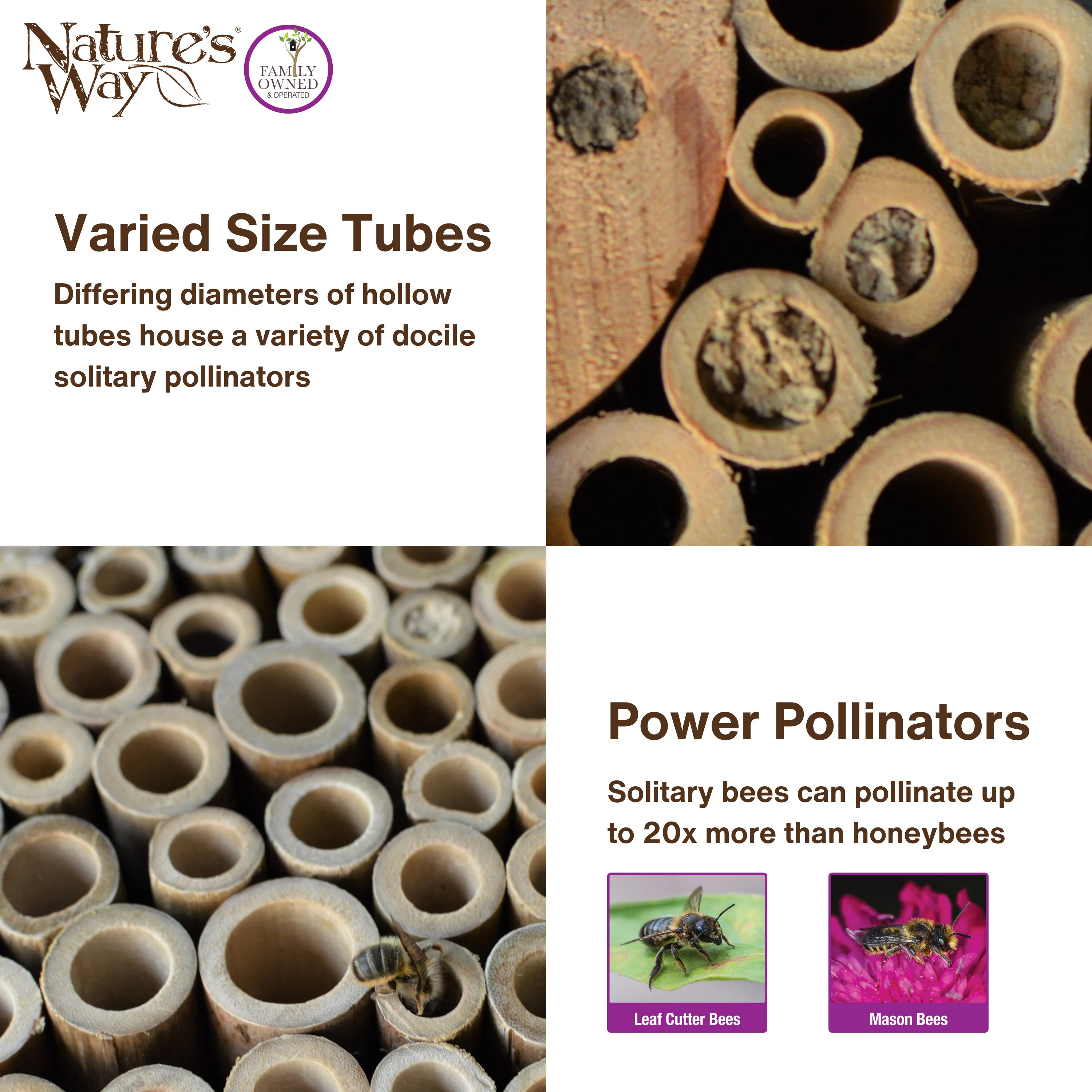 Better Gardens Pollinator House - Purple - Image 4