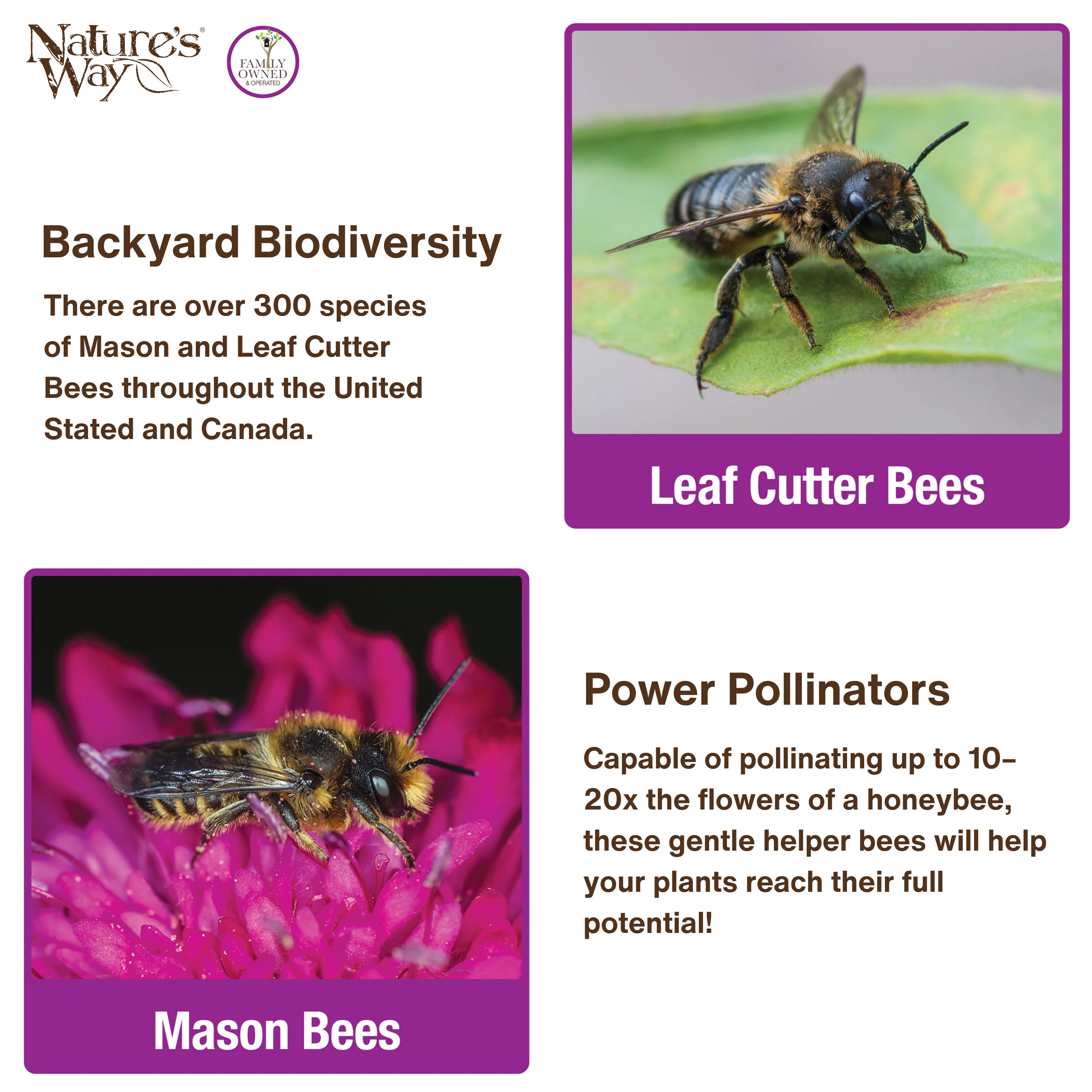 Better Gardens Dual-Chamber Beneficial Insect House - Yellow - Image 5