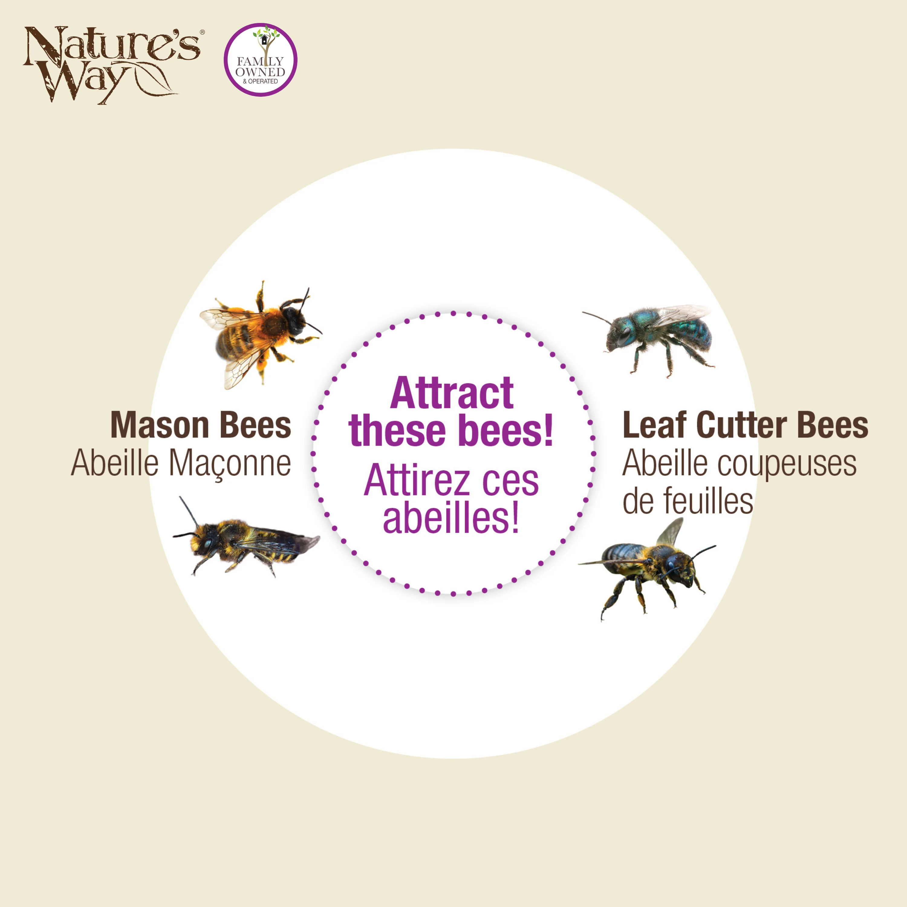 Better Gardens Dual-Chamber Beneficial Insect House - Yellow - Image 6