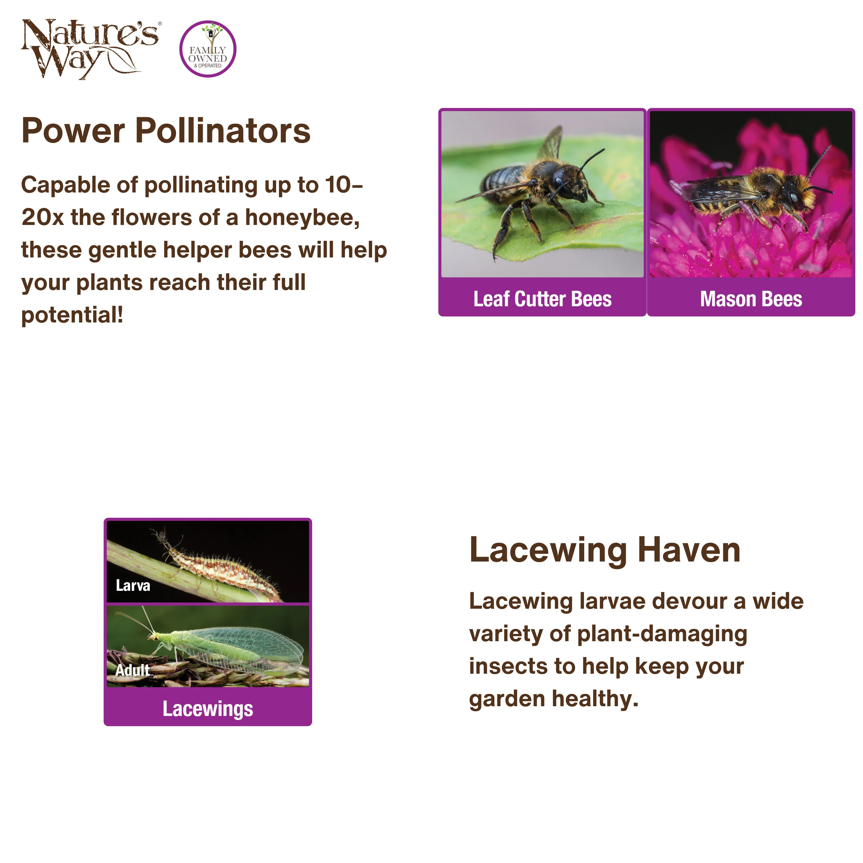 Better Gardens Dual-Chamber Beneficial Insect House - Red - Image 5