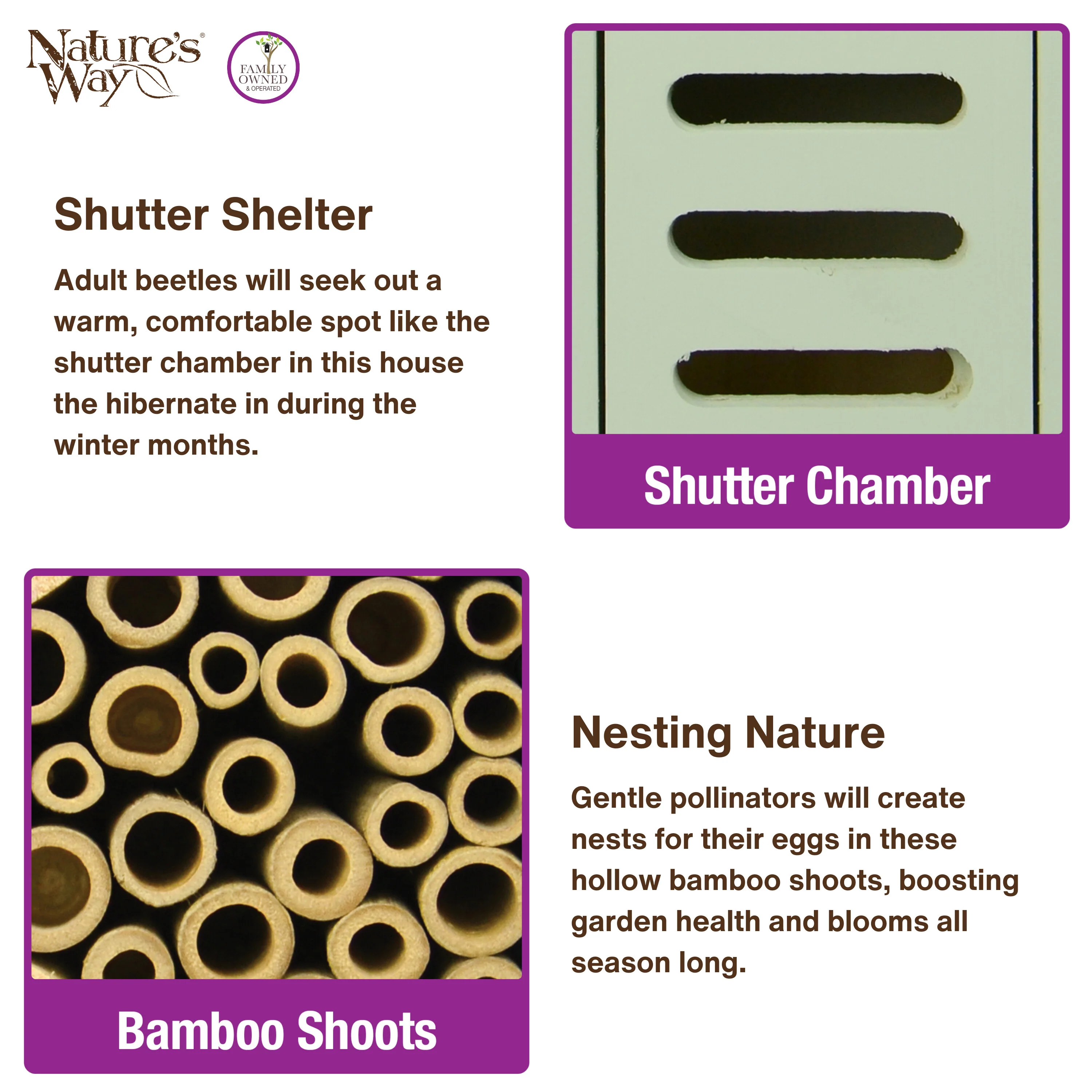 Better Gardens Dual-Chamber Beneficial Insect House - Green - Image 4