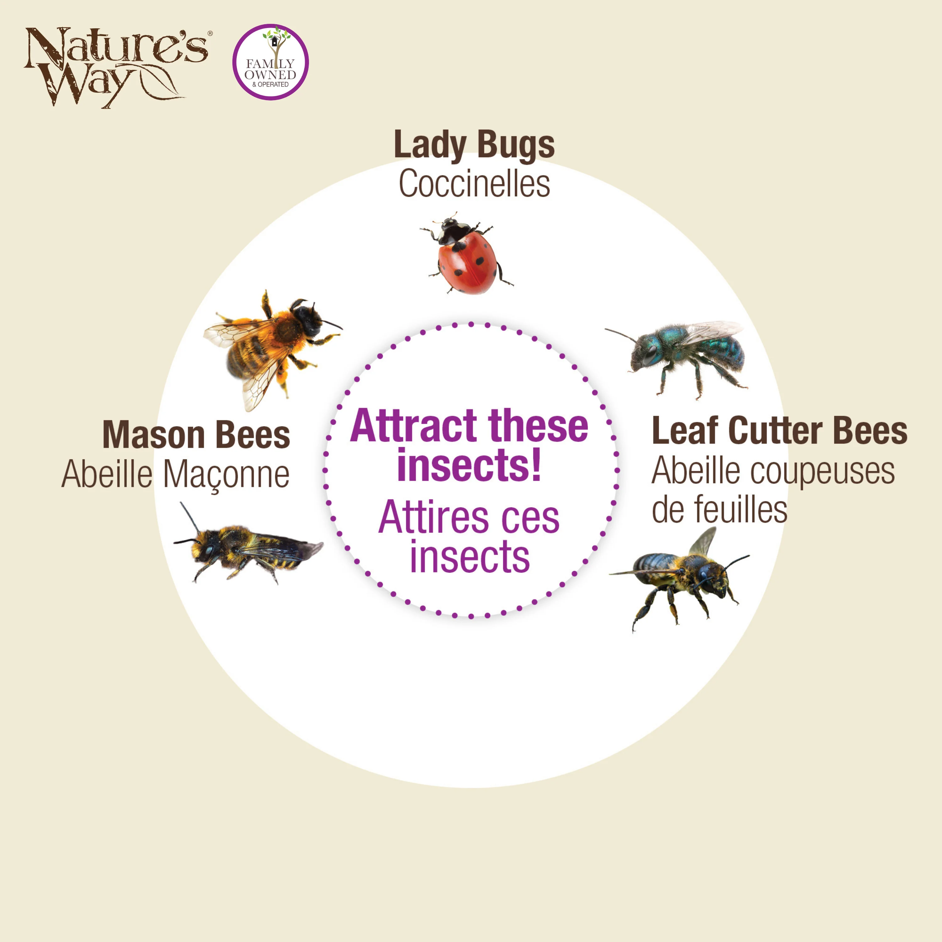 Better Gardens Dual-Chamber Beneficial Insect House - Green - Image 6