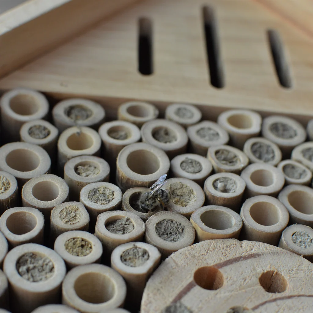 Better Gardens Insect Chateau - Image 3