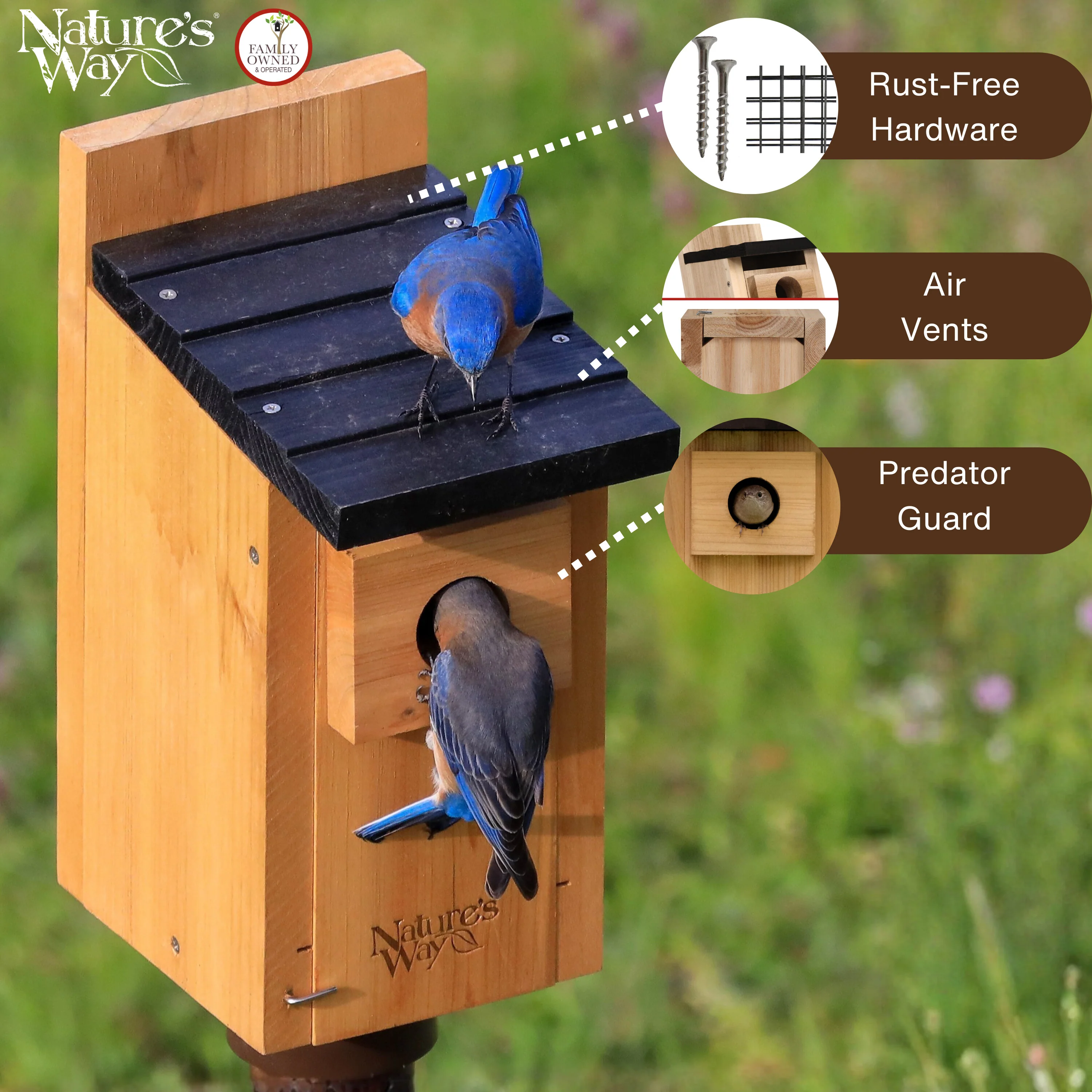 Cedar Bluebird Box House with Clean-Out Door and Predator Guard - Image 3