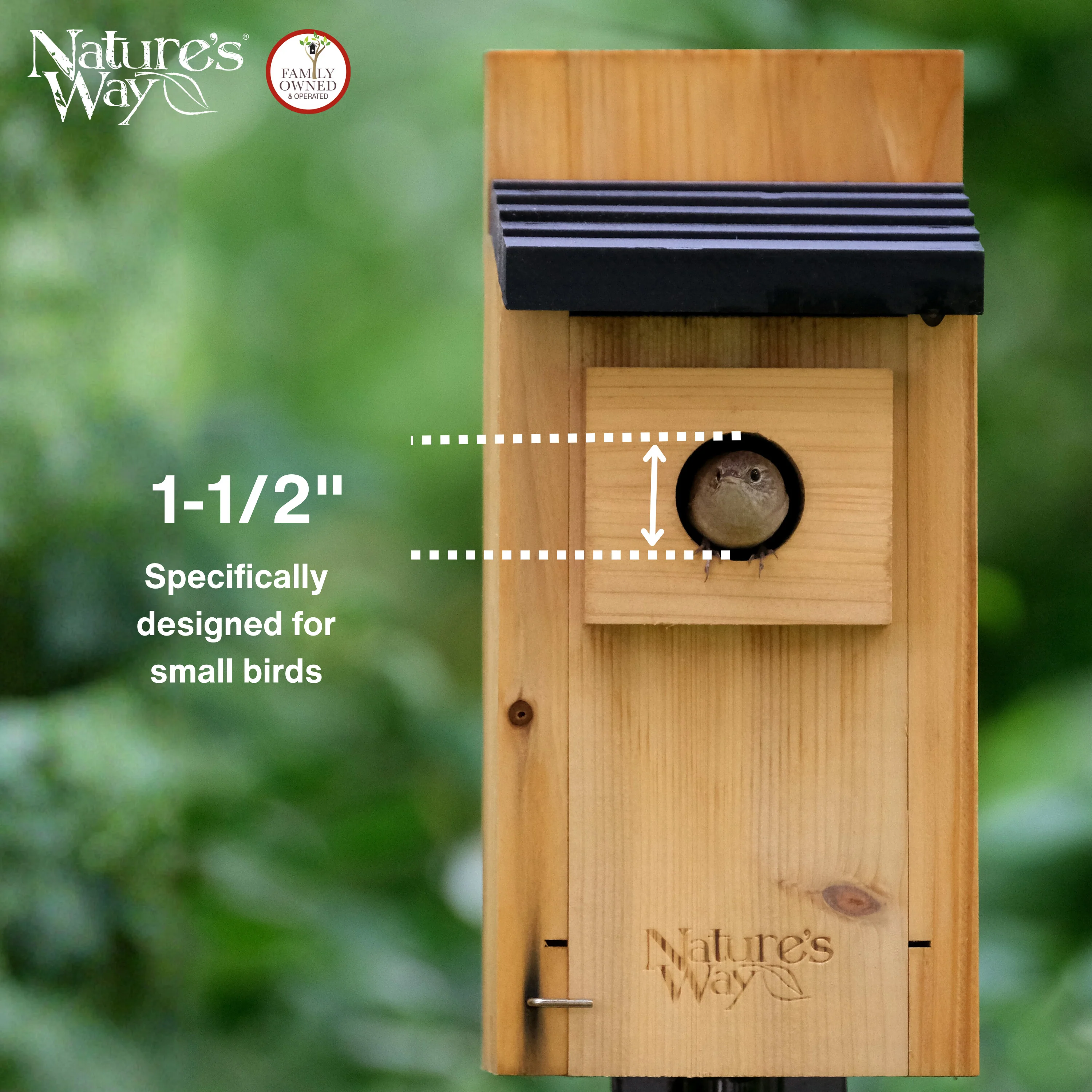 Cedar Bluebird Box House with Clean-Out Door and Predator Guard - Image 5