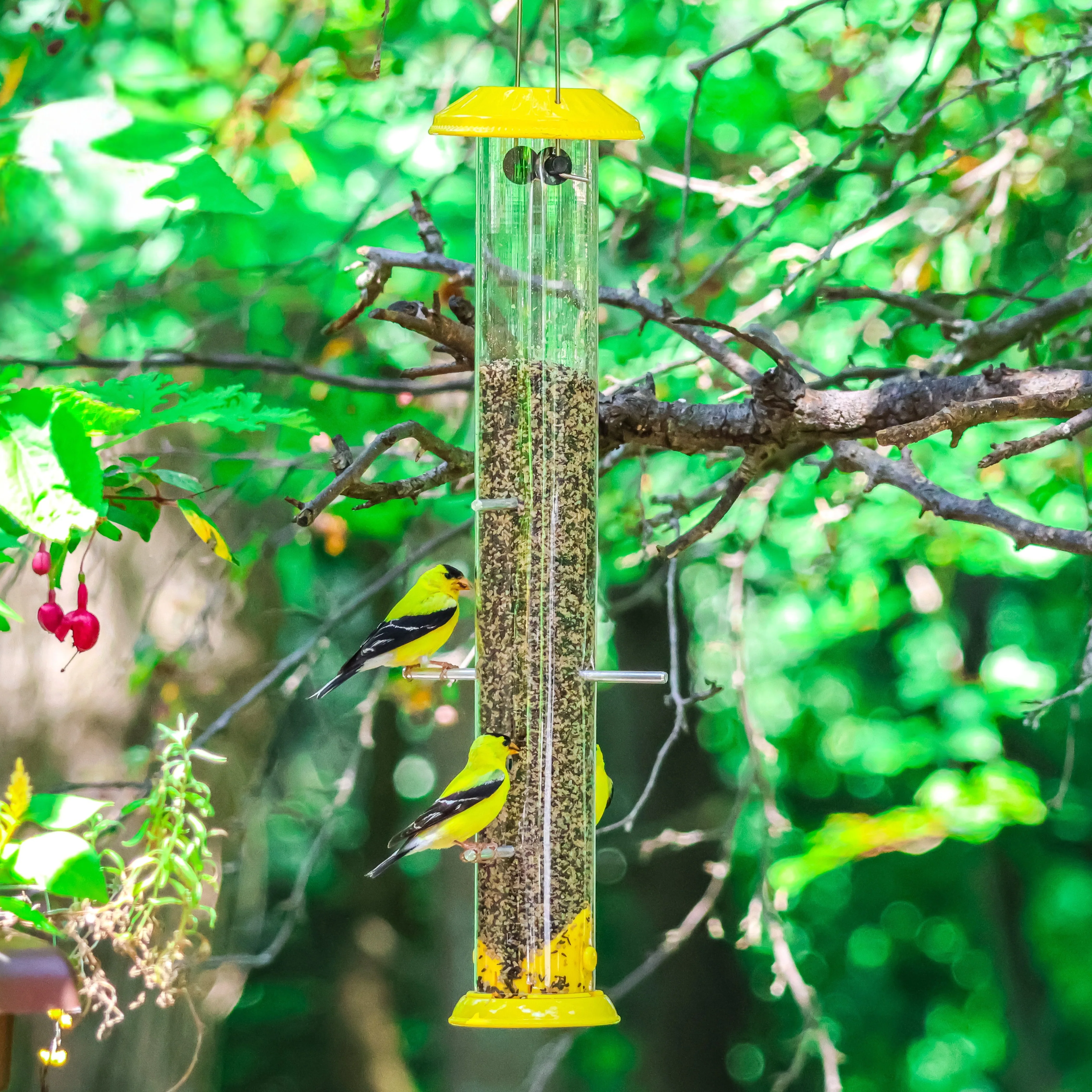 Bottoms-Up Metal Thistle Finch Feeder - Image 10