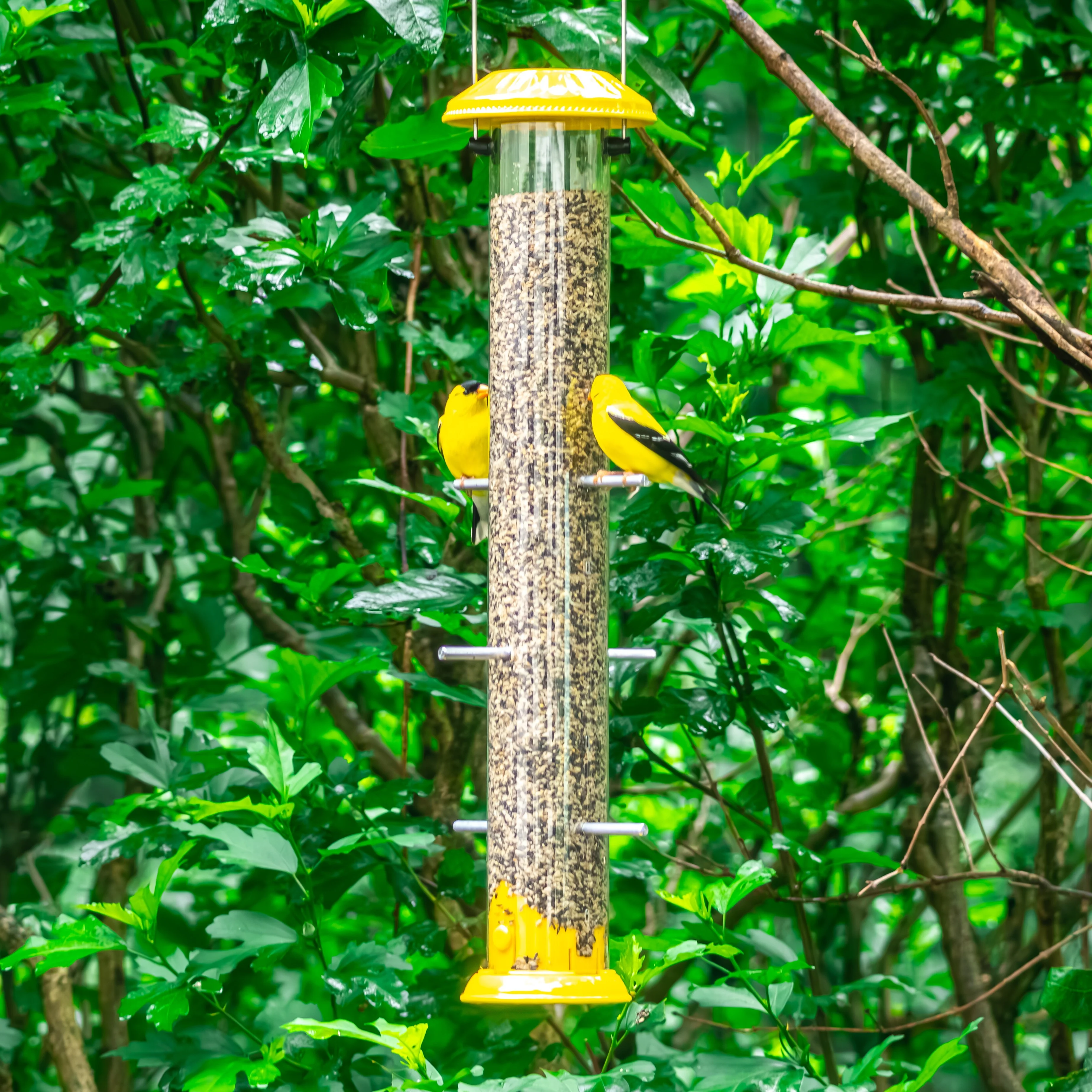 Bottoms-Up Metal Thistle Finch Feeder - Image 8