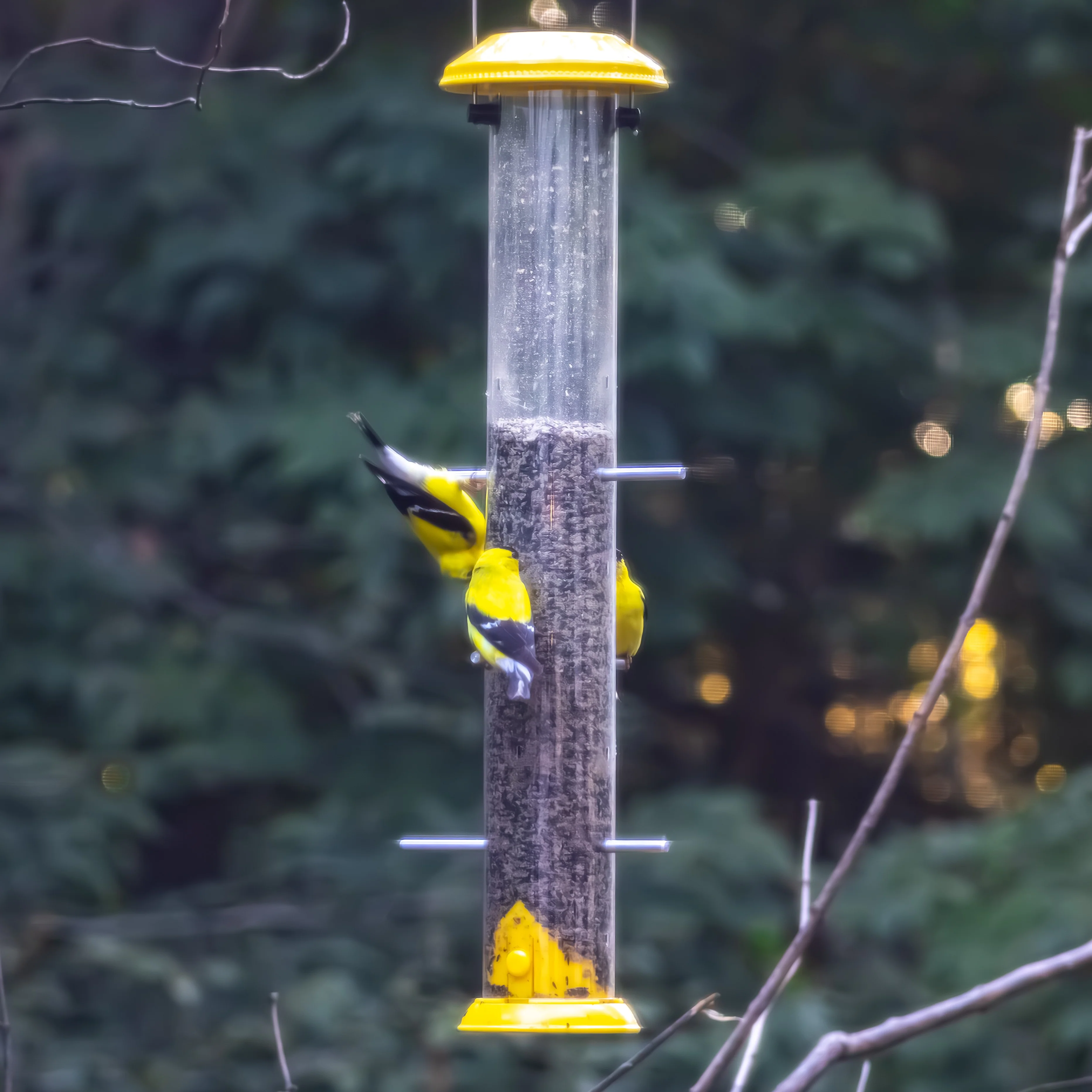 Bottoms-Up Metal Thistle Finch Feeder - Image 9