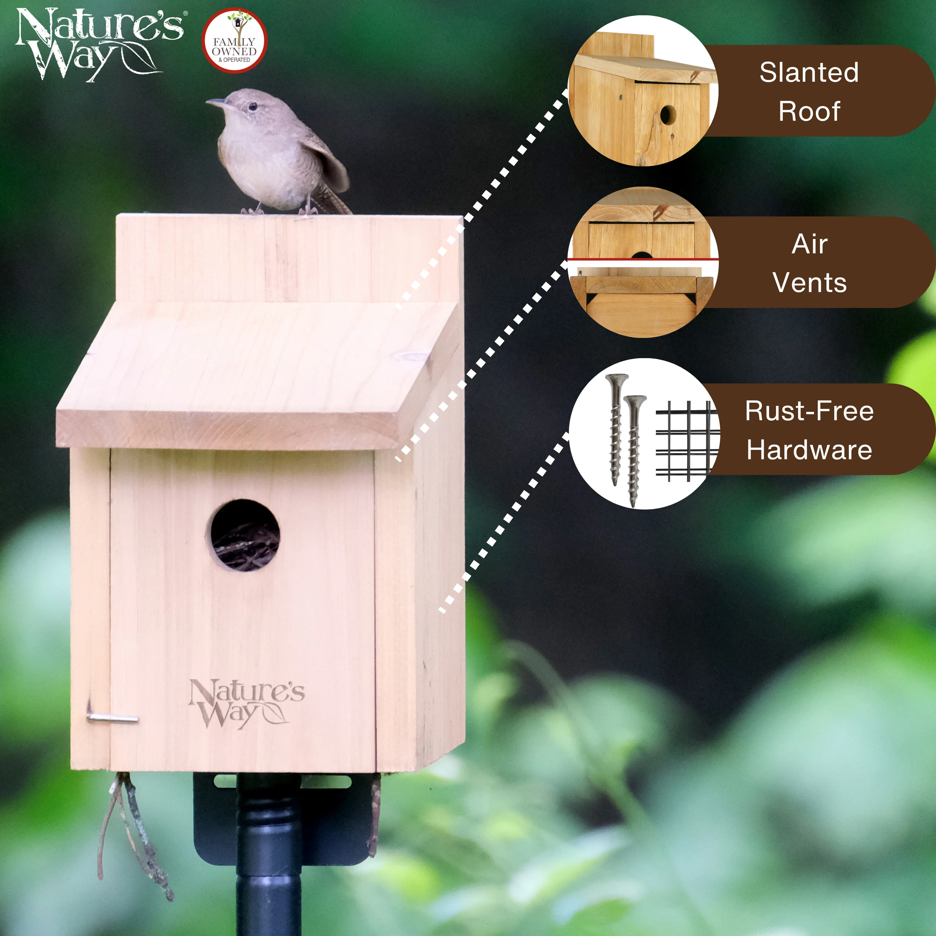 Cedar Box Wren House with Clean-Out Door - Image 3