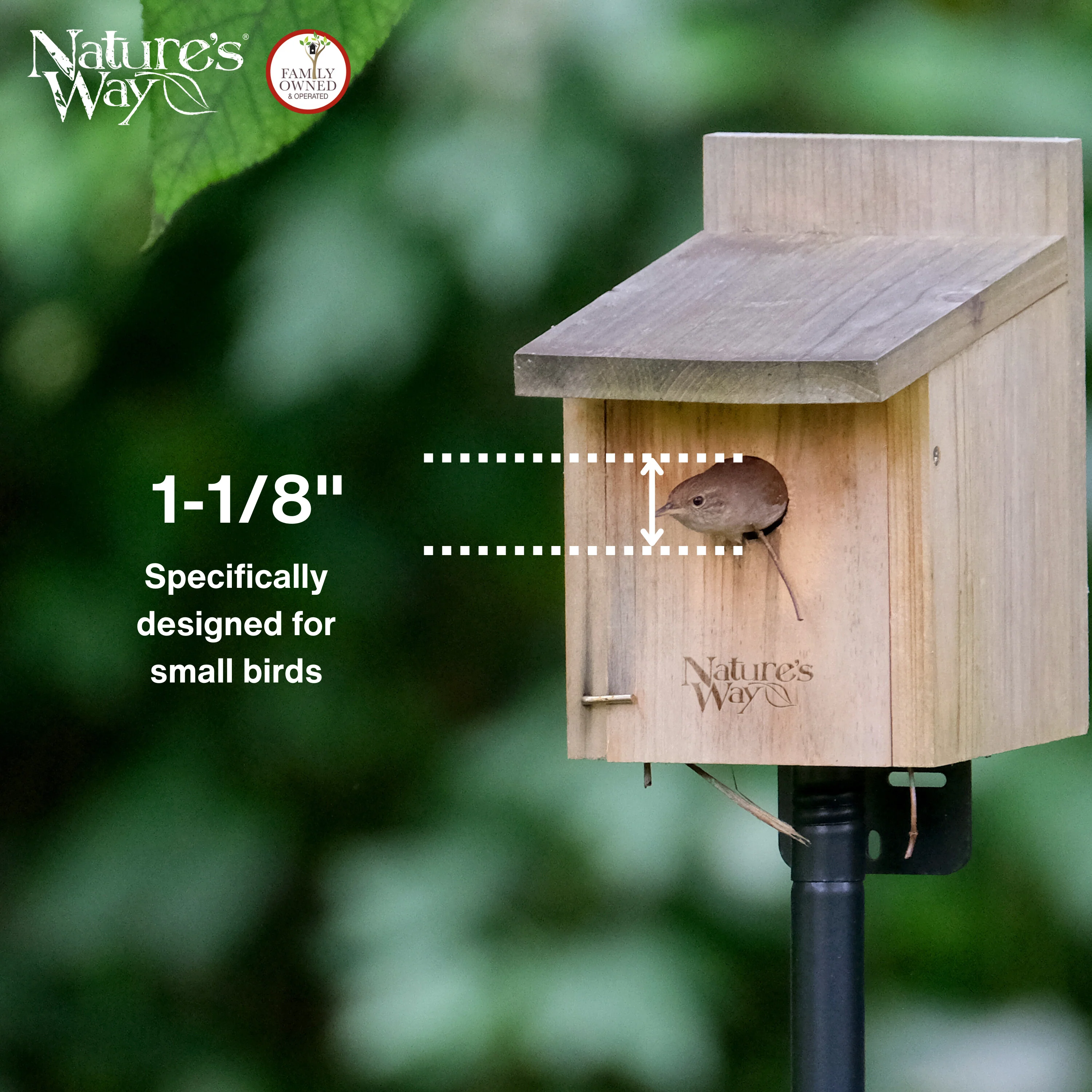 Cedar Box Wren House with Clean-Out Door - Image 5