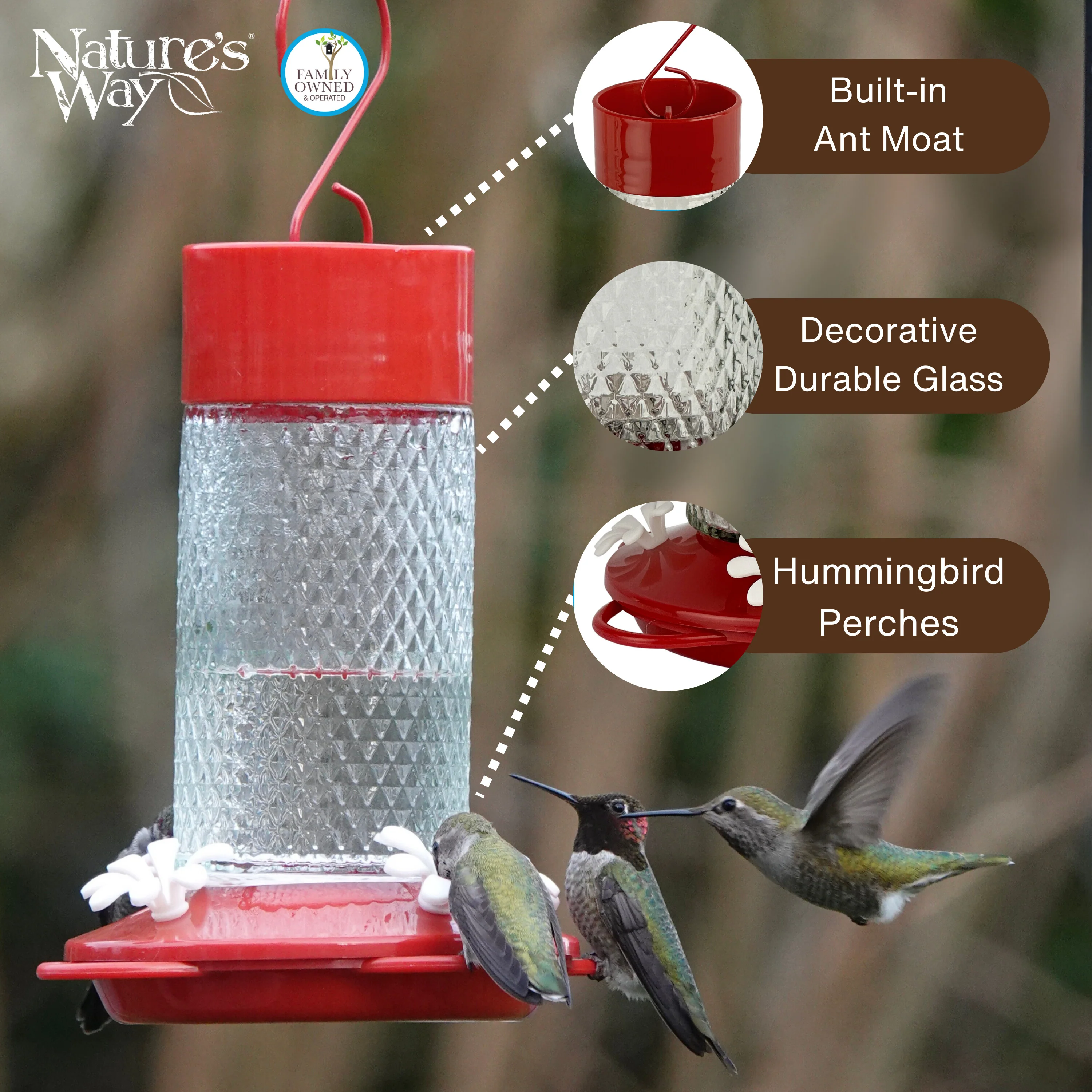 Charming Cherry Glass Gravity Hummingbird Feeder - Image 3