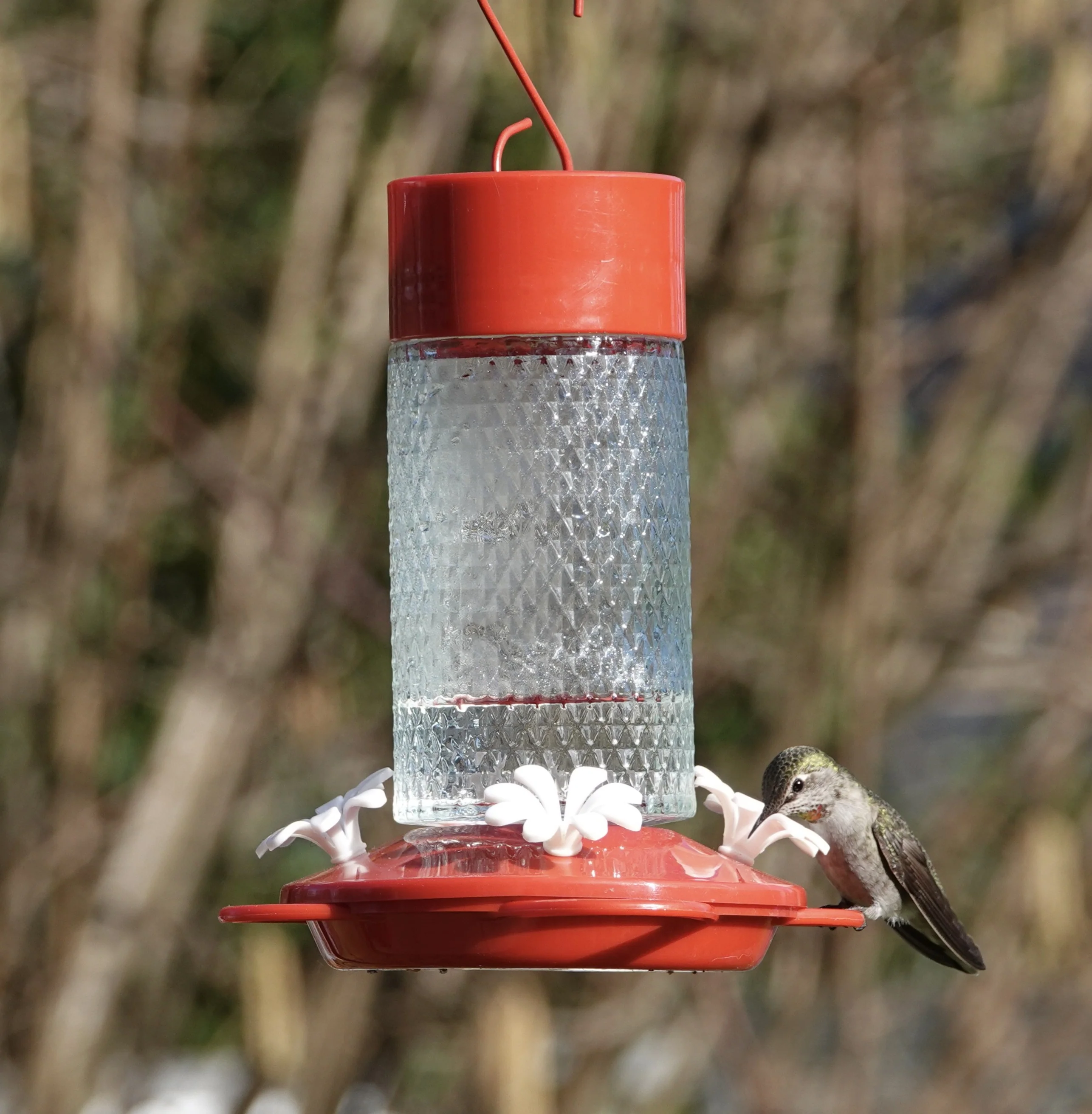 Charming Cherry Glass Gravity Hummingbird Feeder - Image 7