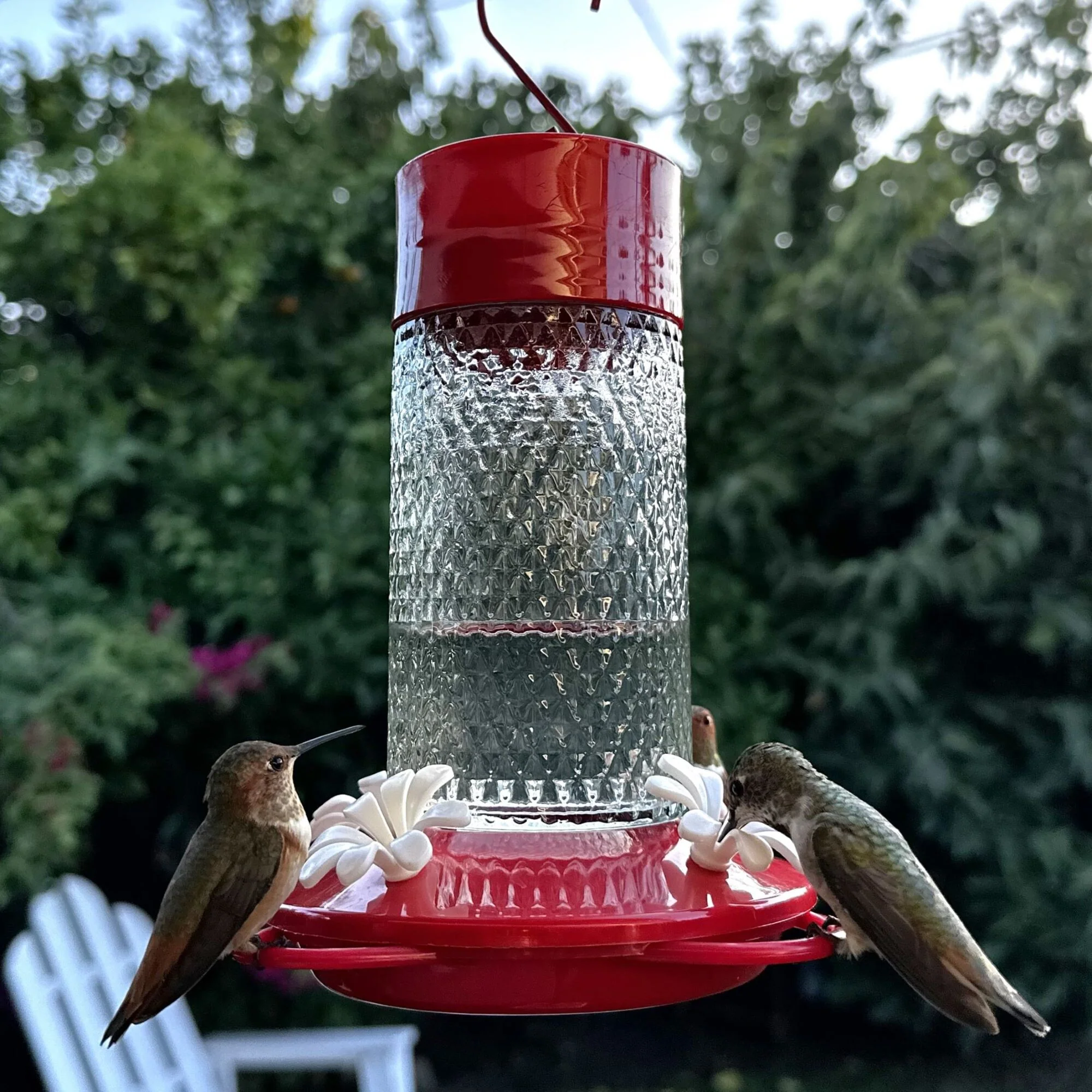 Charming Cherry Glass Gravity Hummingbird Feeder - Image 9