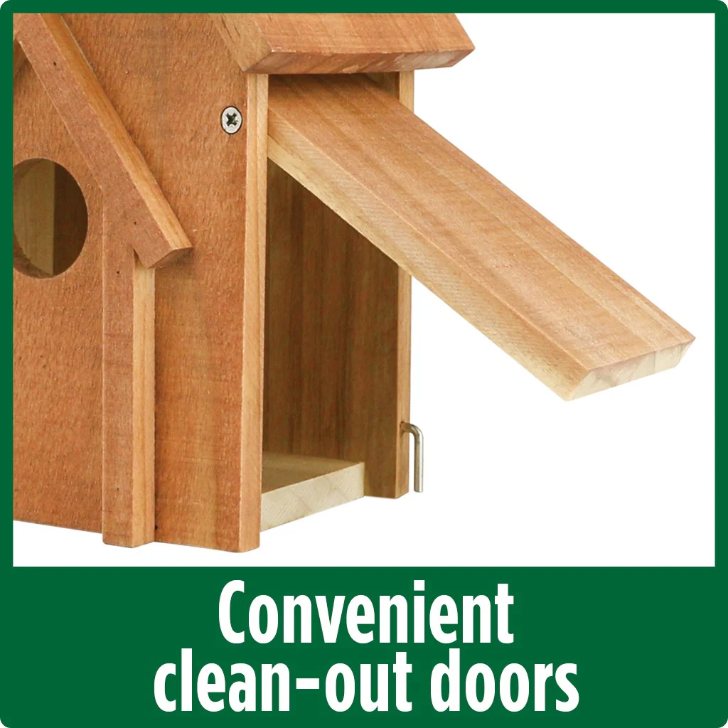 Country Bluebird House - Maple - Image 3