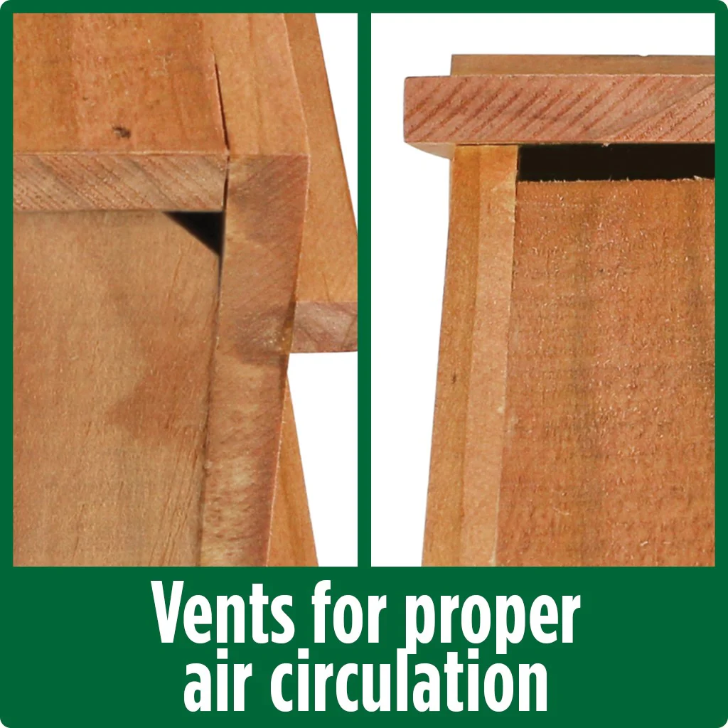 Country Bluebird House - Maple - Image 4