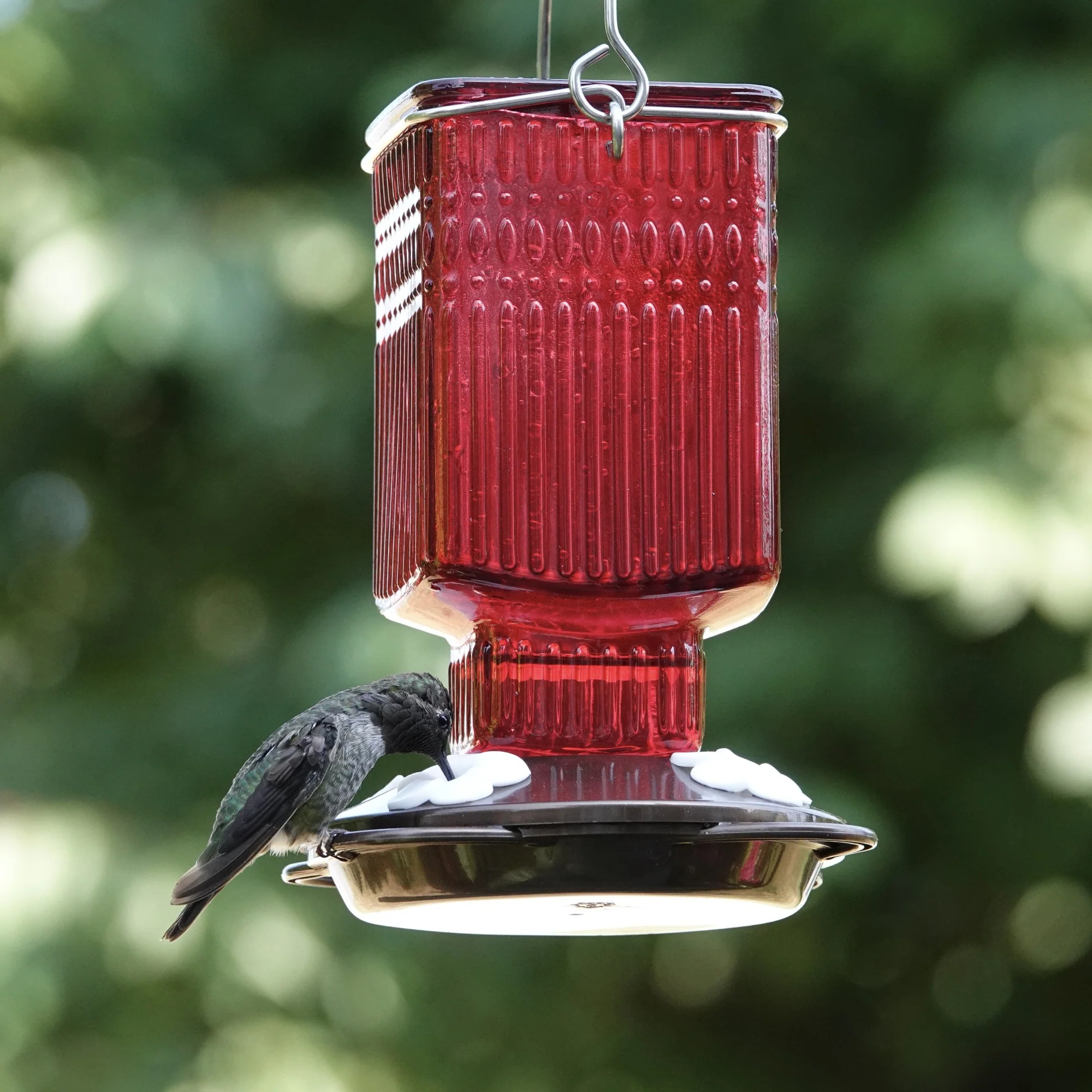 Crimson Carnation Antique Glass Gravity Hummingbird Feeder - Image 8