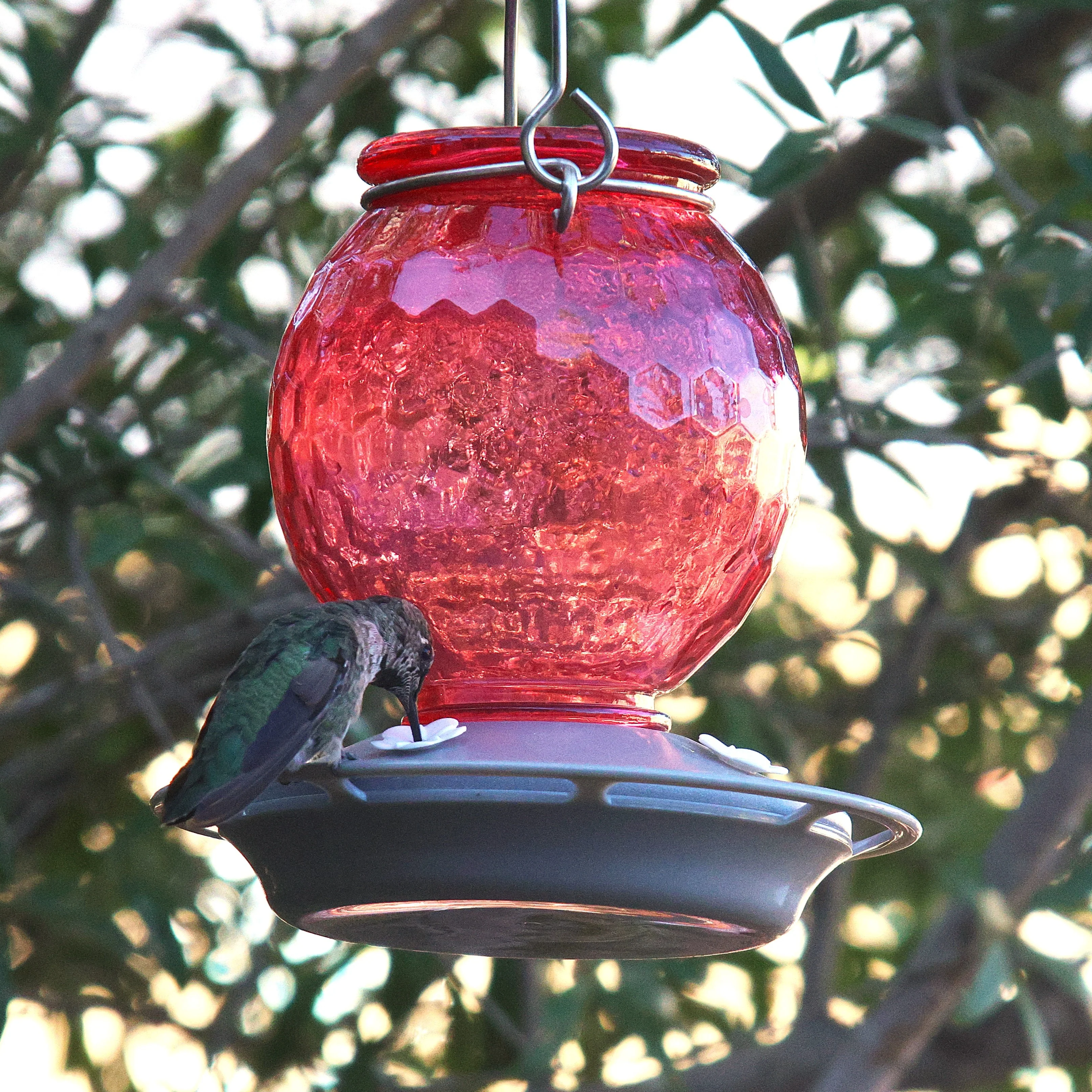 Crimson Comb Recycled Glass Hummingbird Feeder - Image 10