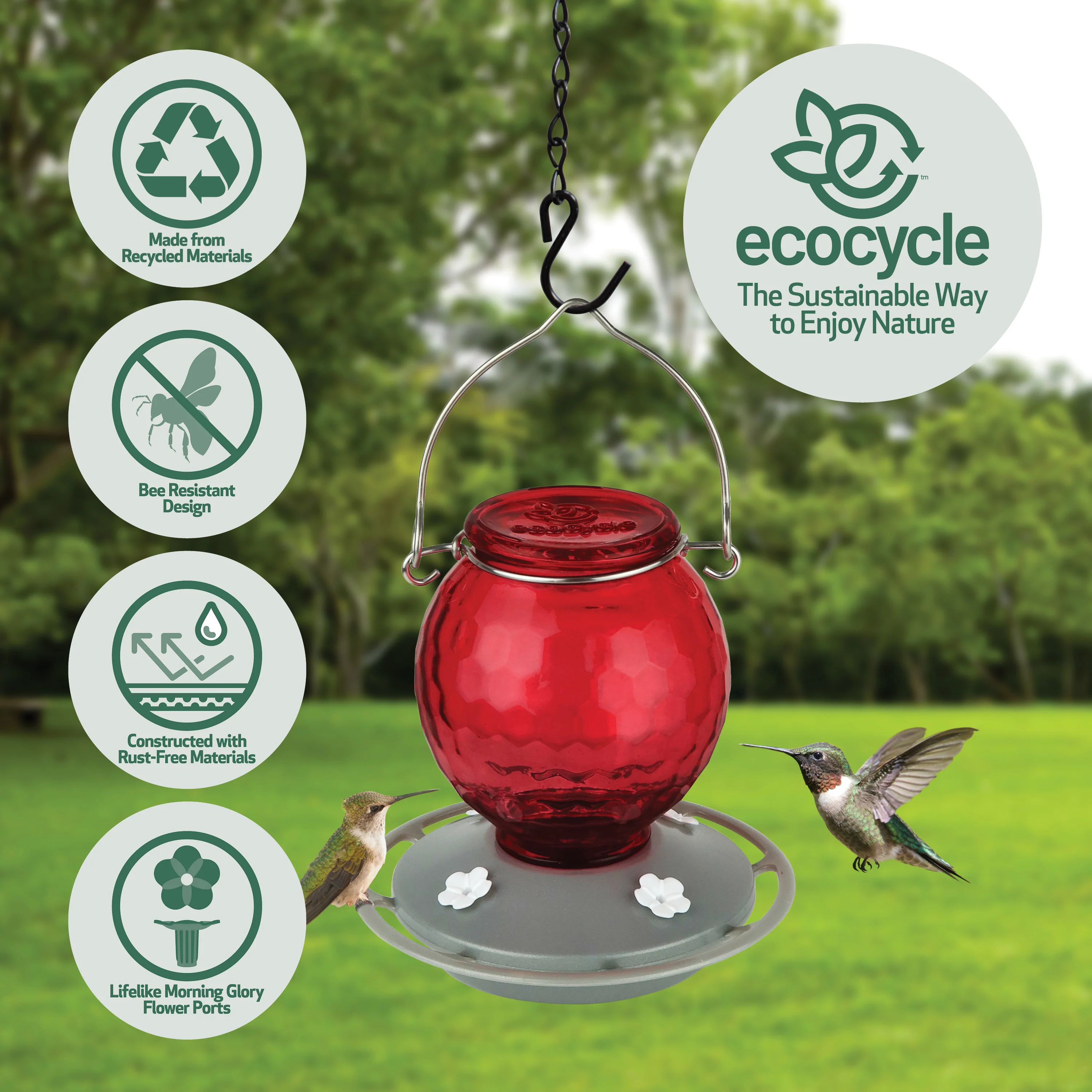 Crimson Comb Recycled Glass Hummingbird Feeder - Image 3