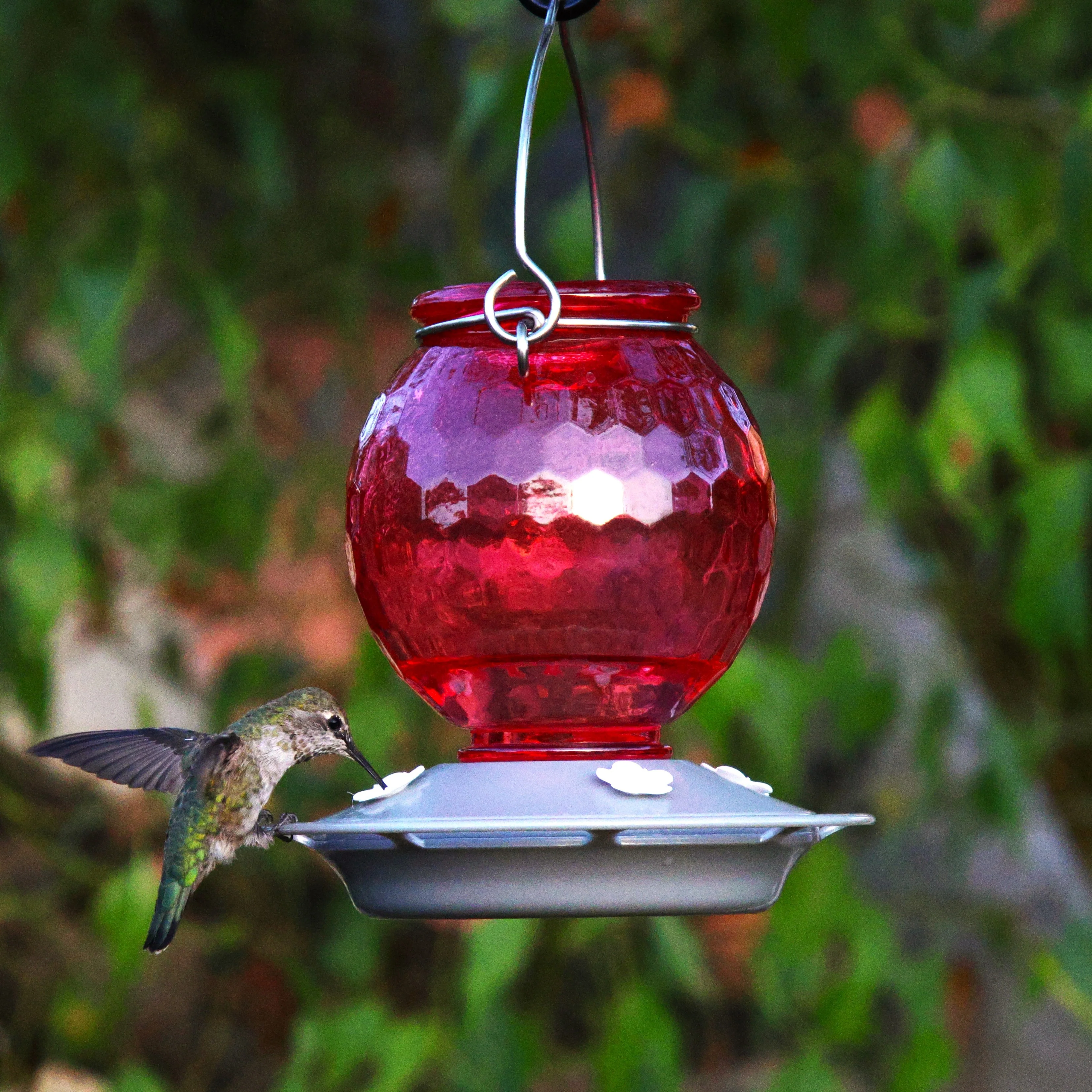 Crimson Comb Recycled Glass Hummingbird Feeder - Image 7