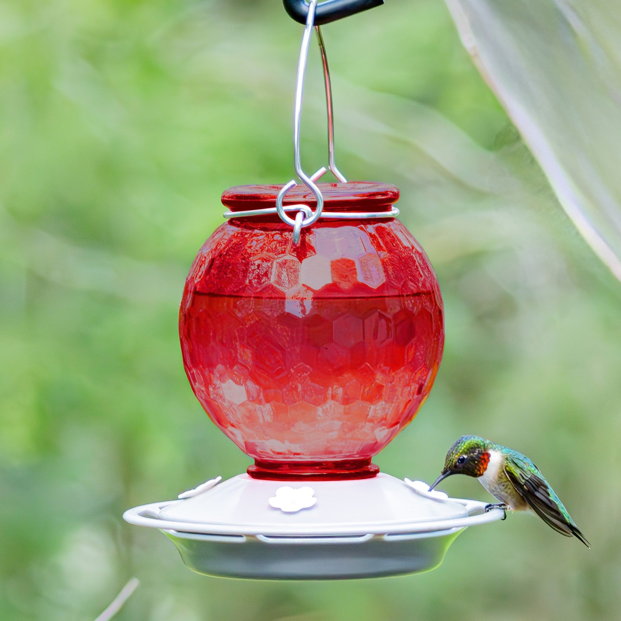 Crimson Comb Recycled Glass Hummingbird Feeder - Image 8