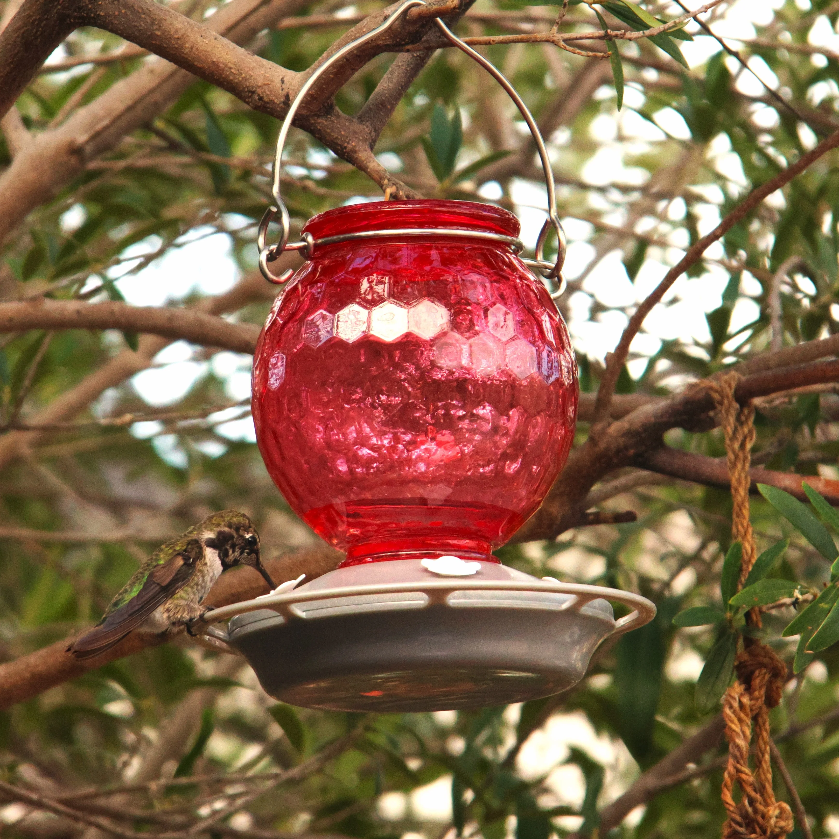 Crimson Comb Recycled Glass Hummingbird Feeder - Image 9