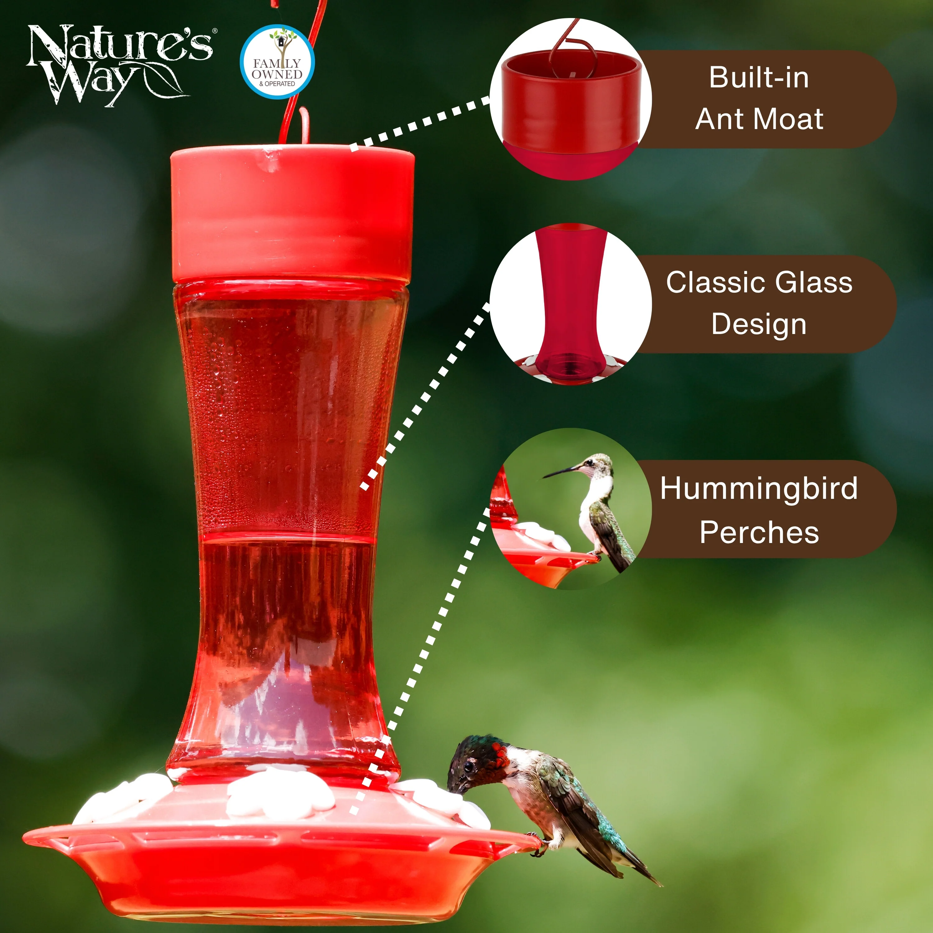Crimson Silhouette Glass Gravity Hummingbird Feeder - Image 3