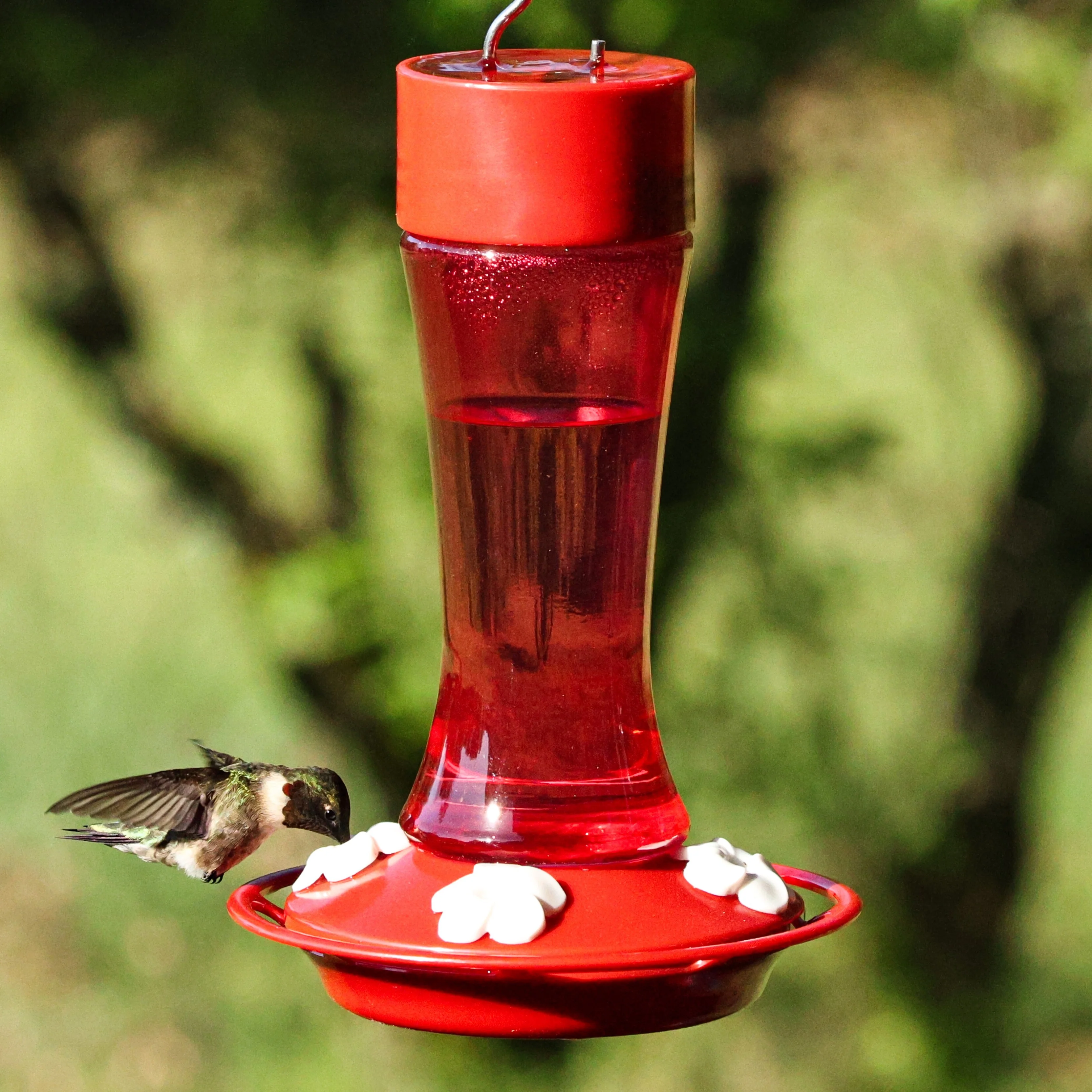 Crimson Silhouette Glass Gravity Hummingbird Feeder - Image 7