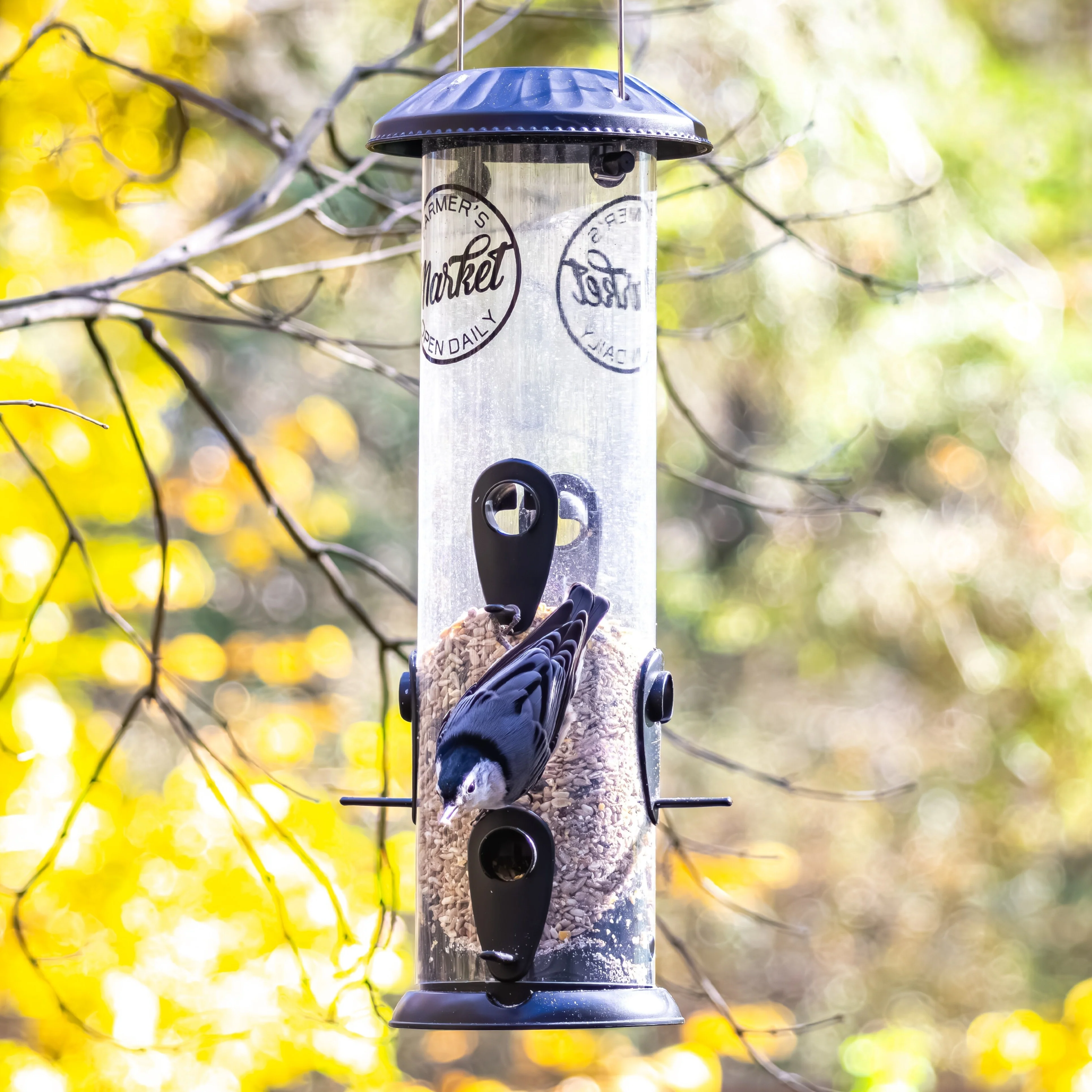 Farmhouse Easy Clean Feeder - Image 8