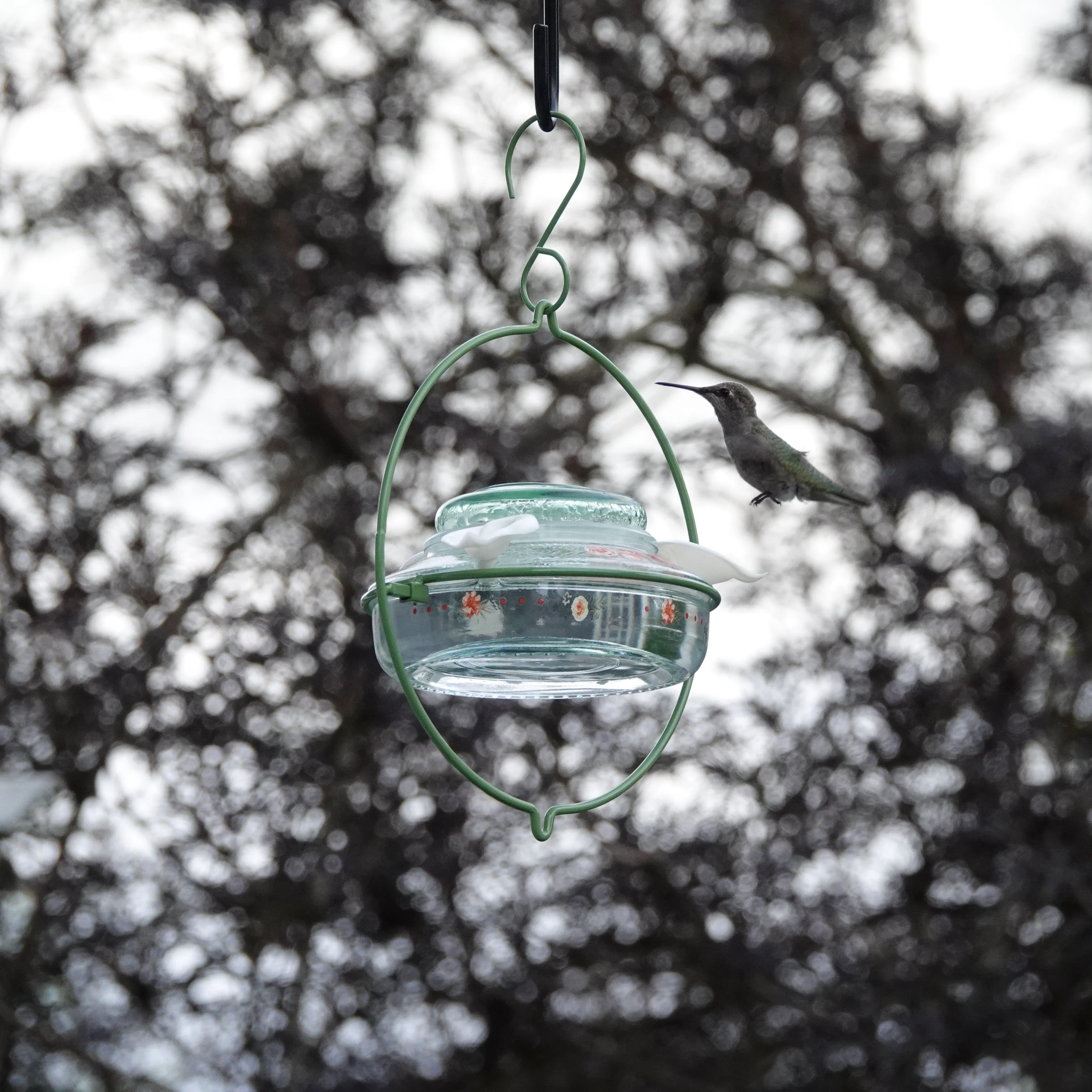 Decorative Glass Top-Fill Hummingbird Feeder - Gardenia Bouquet - Image 12