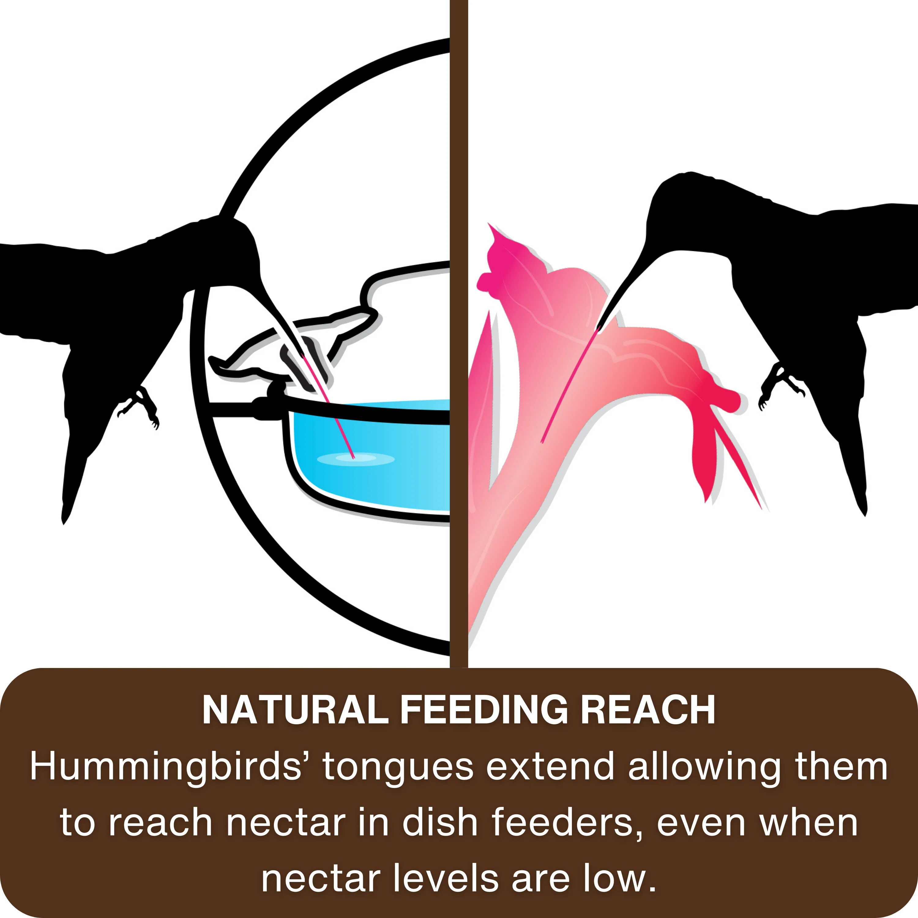 Decorative Glass Top-Fill Hummingbird Feeder - Gardenia Bouquet - Image 5