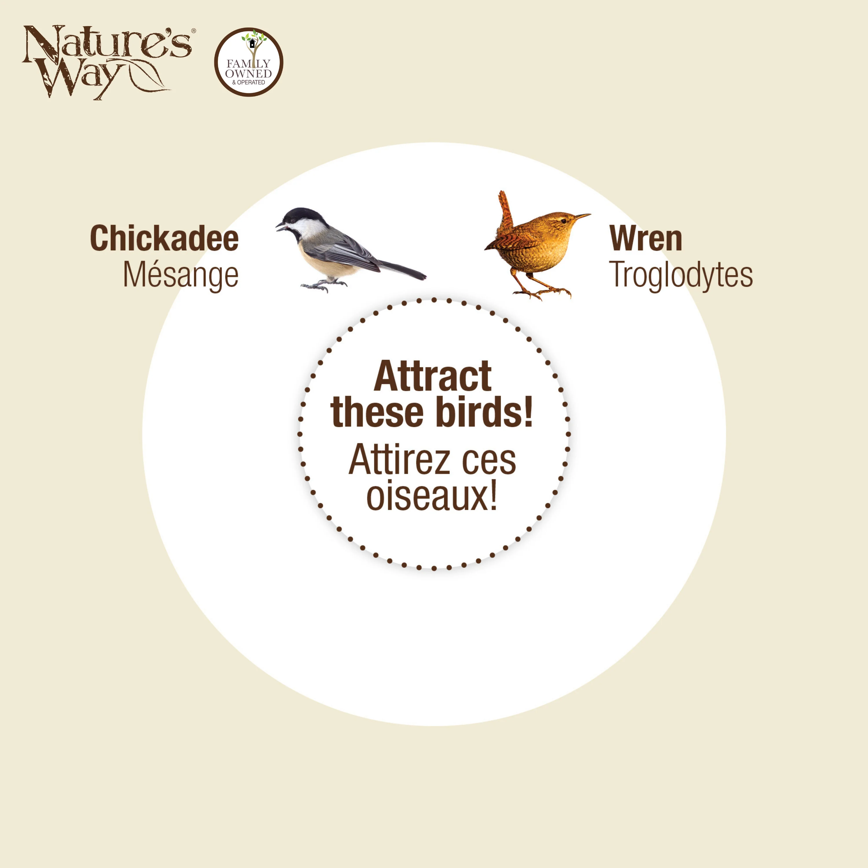 Springwood Daisy Decorative Wren House - Image 6