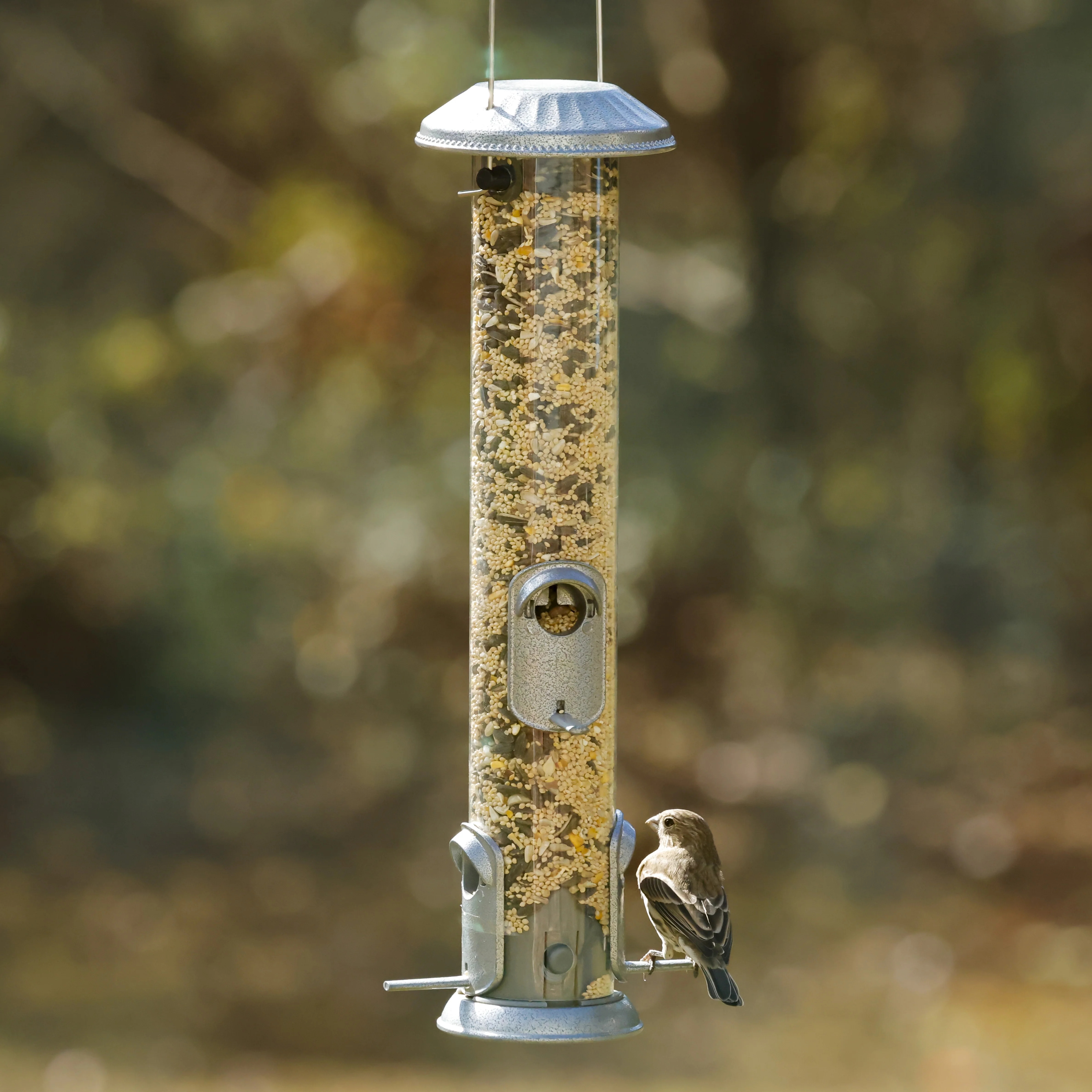 Deluxe Metal Easy Clean Tube Feeder - Image 7